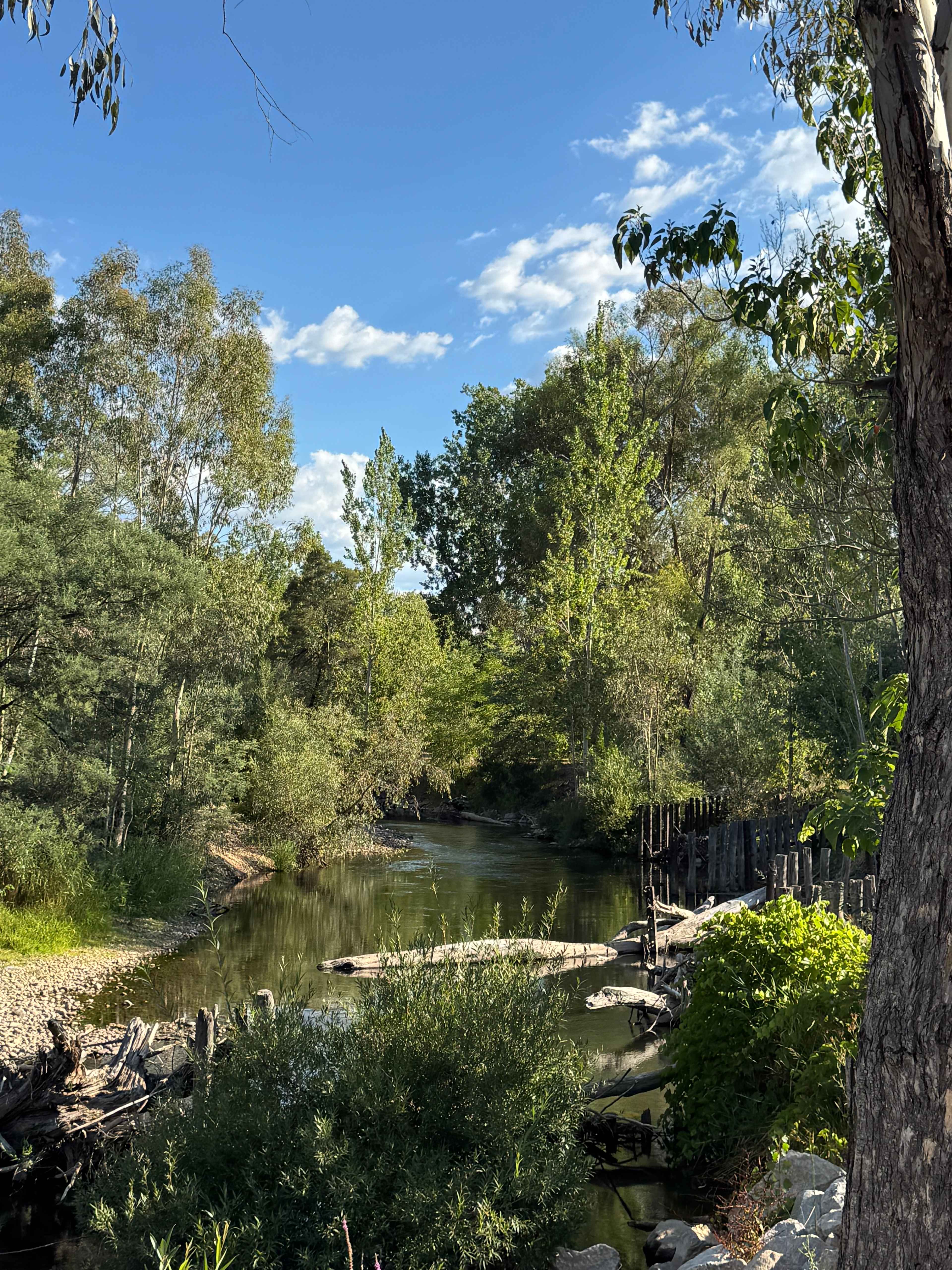 Riverside King Valley