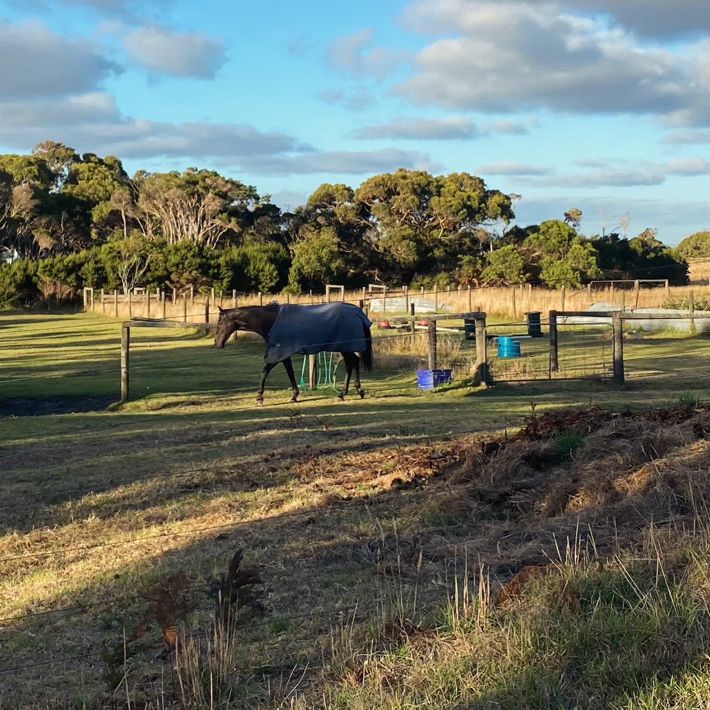 Sandy Point Farm Camp