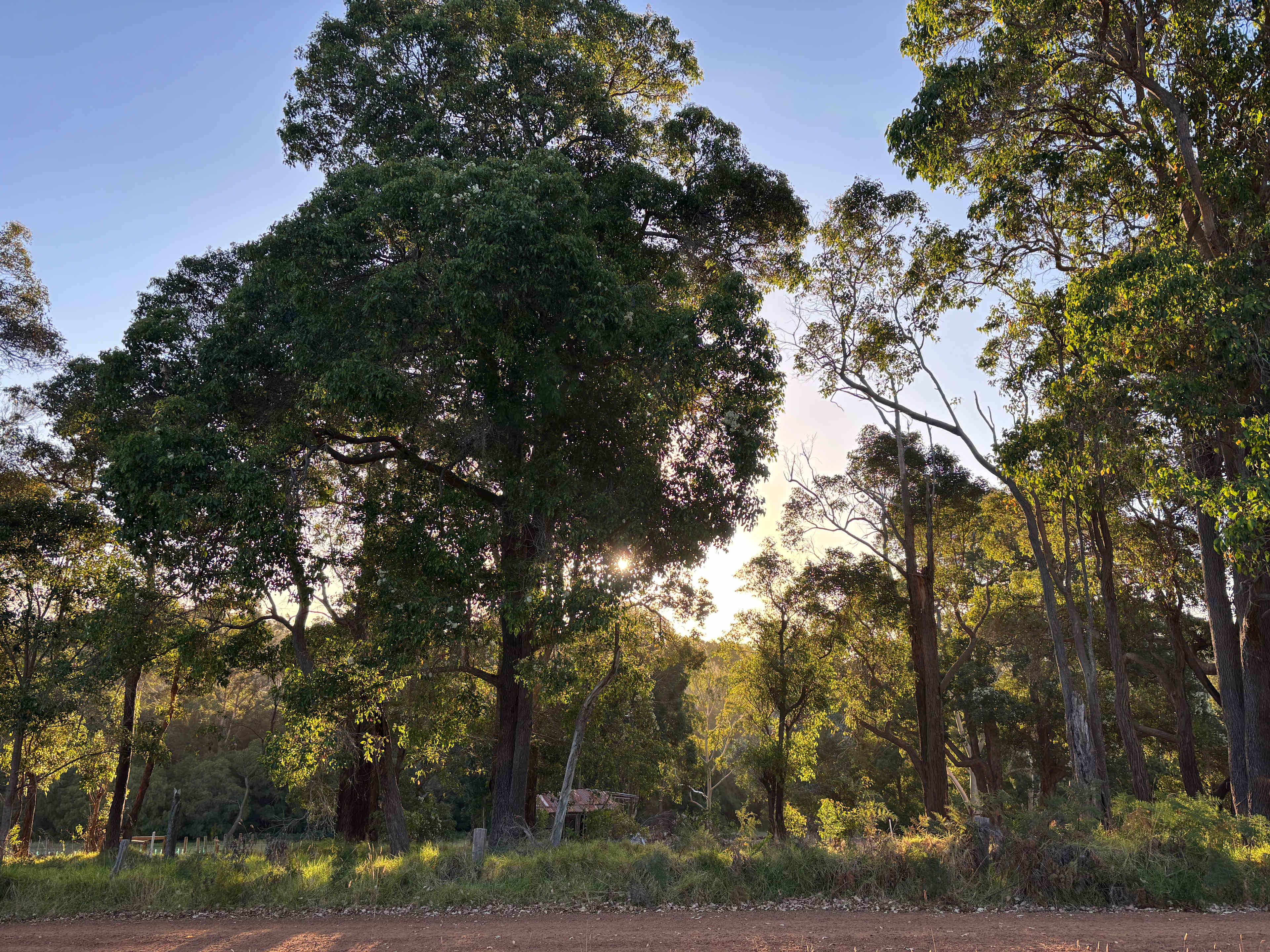 Stunning Rockcliffe Vineyard