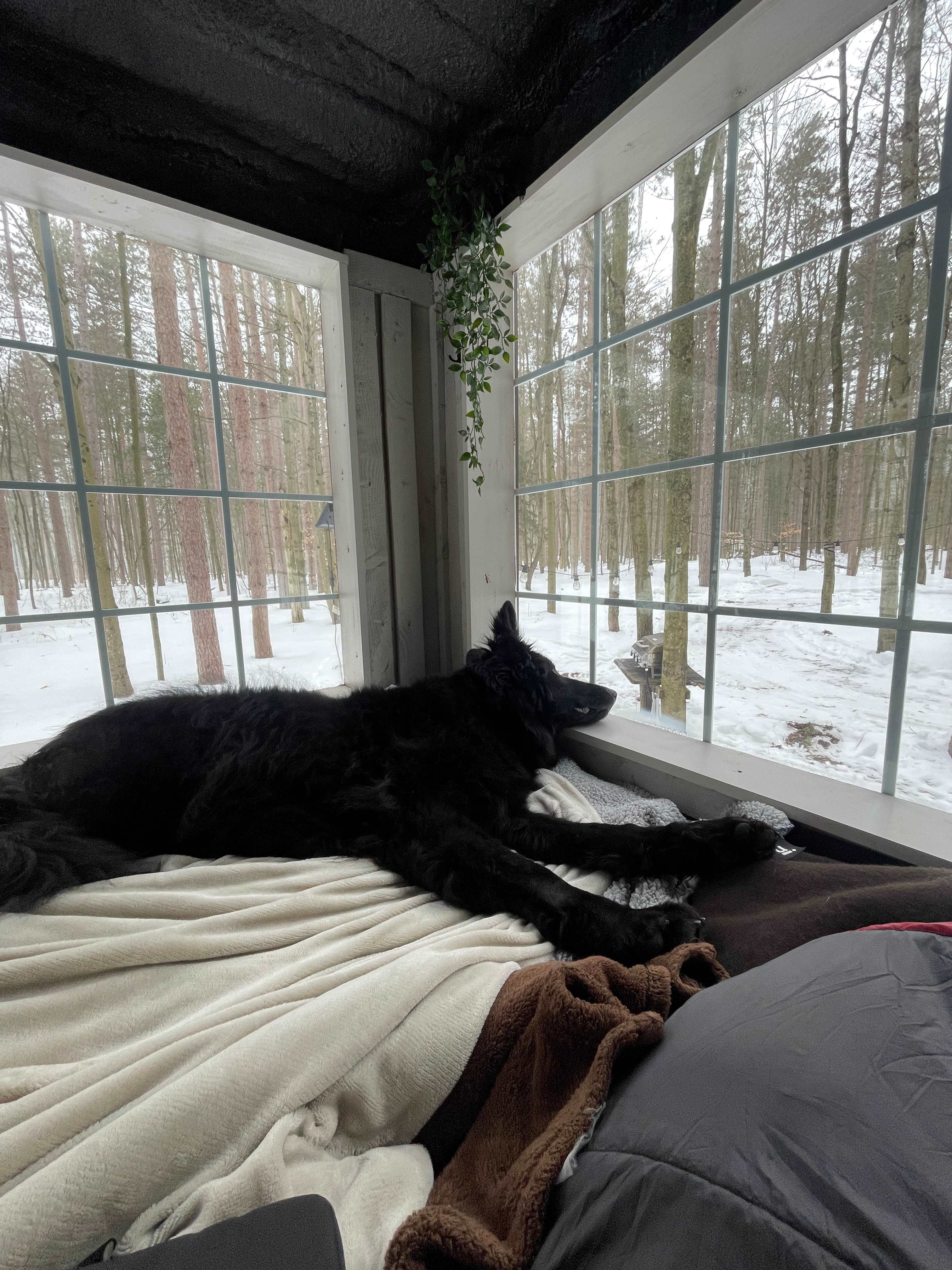 Bunkie #1 Inside view from bed 