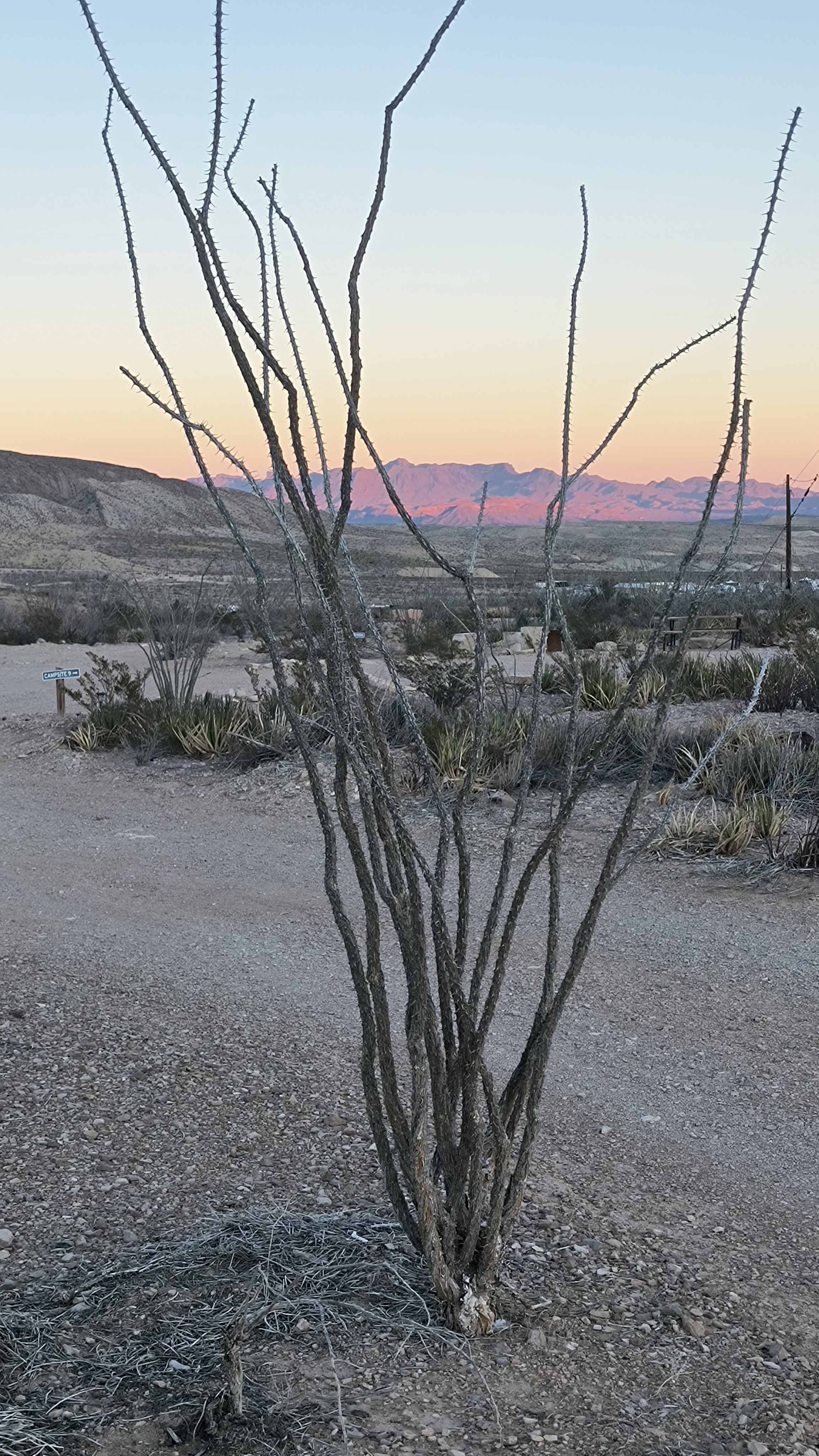 The Bus Stop Campground