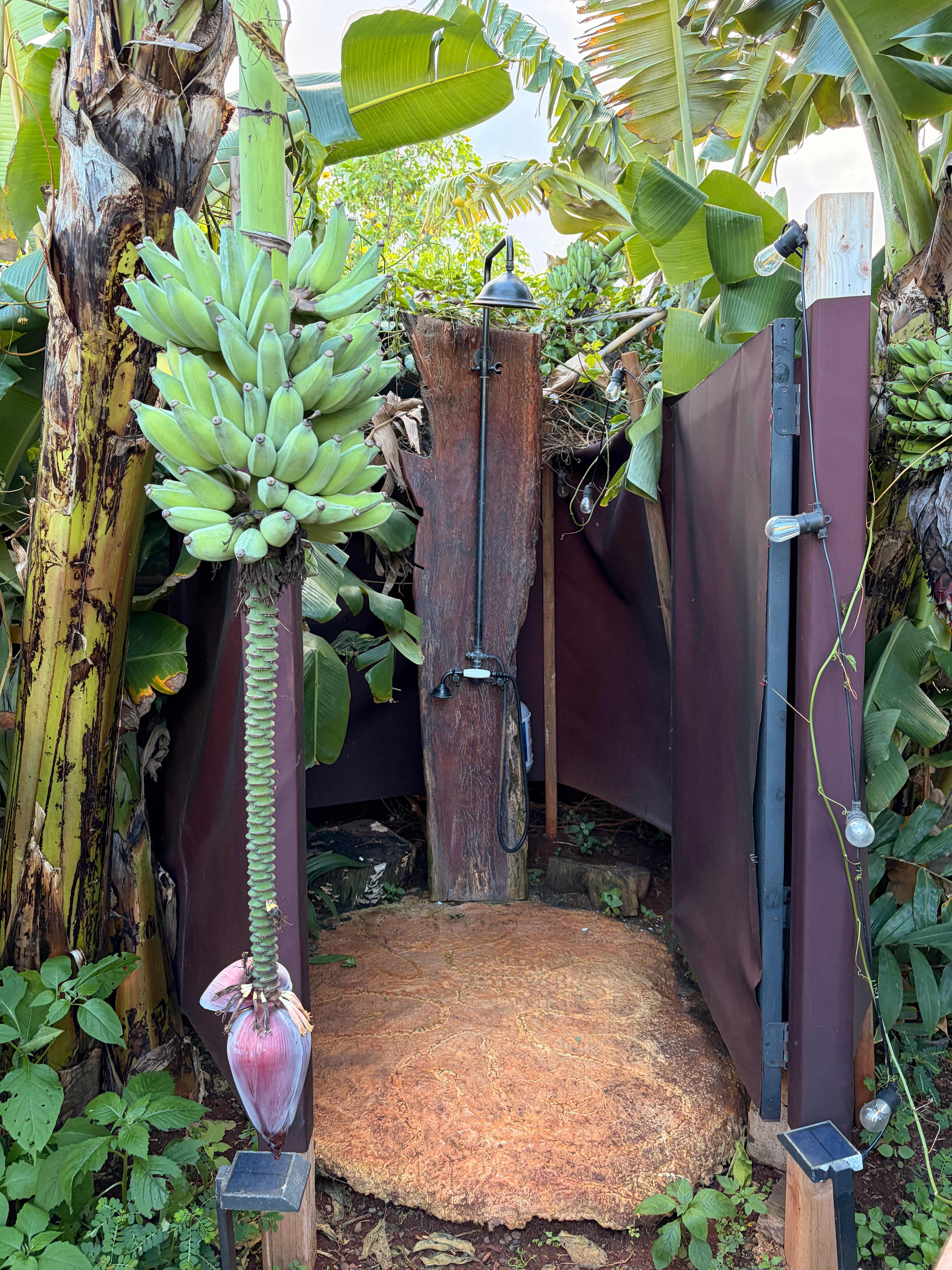 Living Circle Farms Hawaii