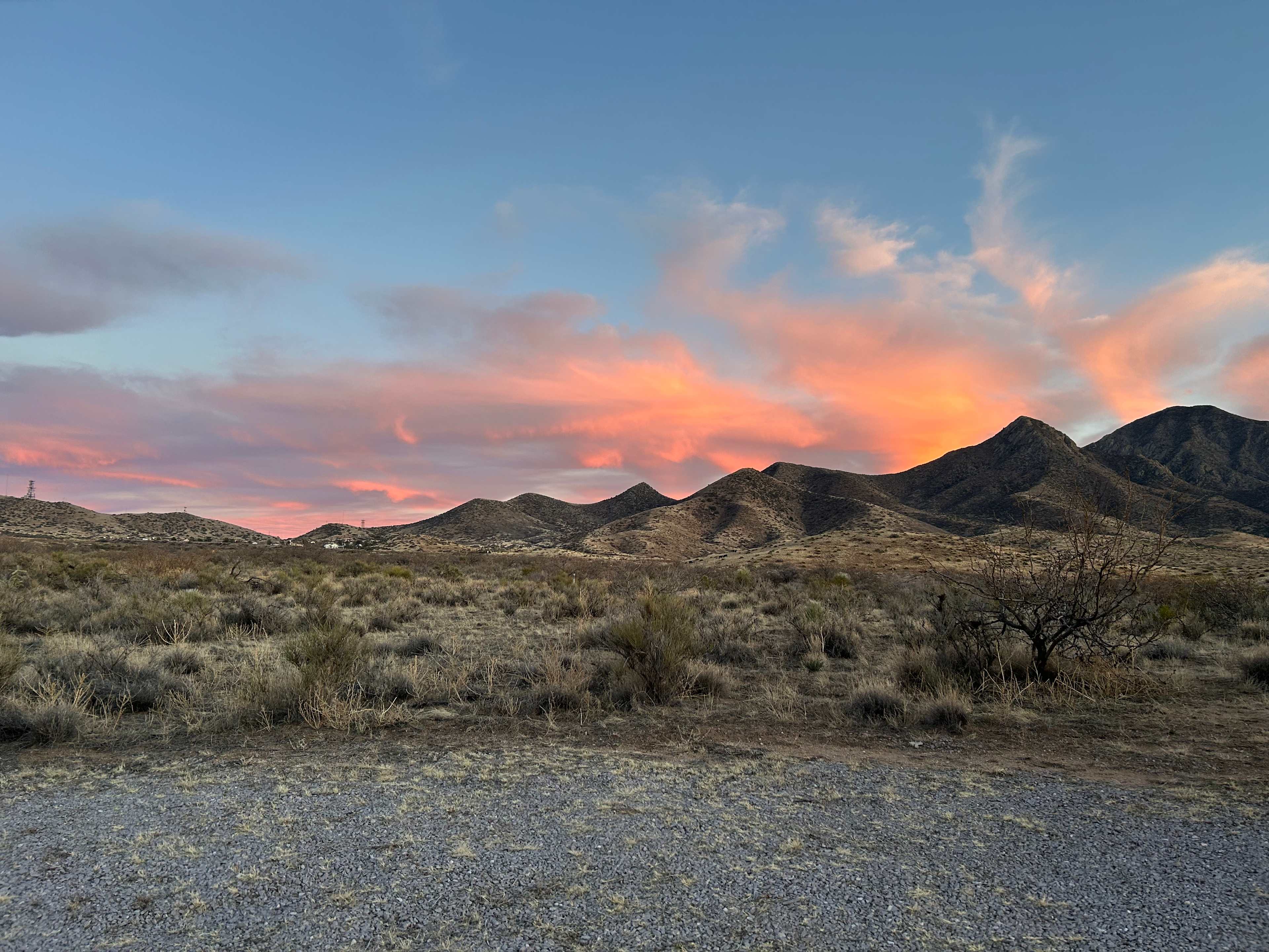 Organ Mountain Views