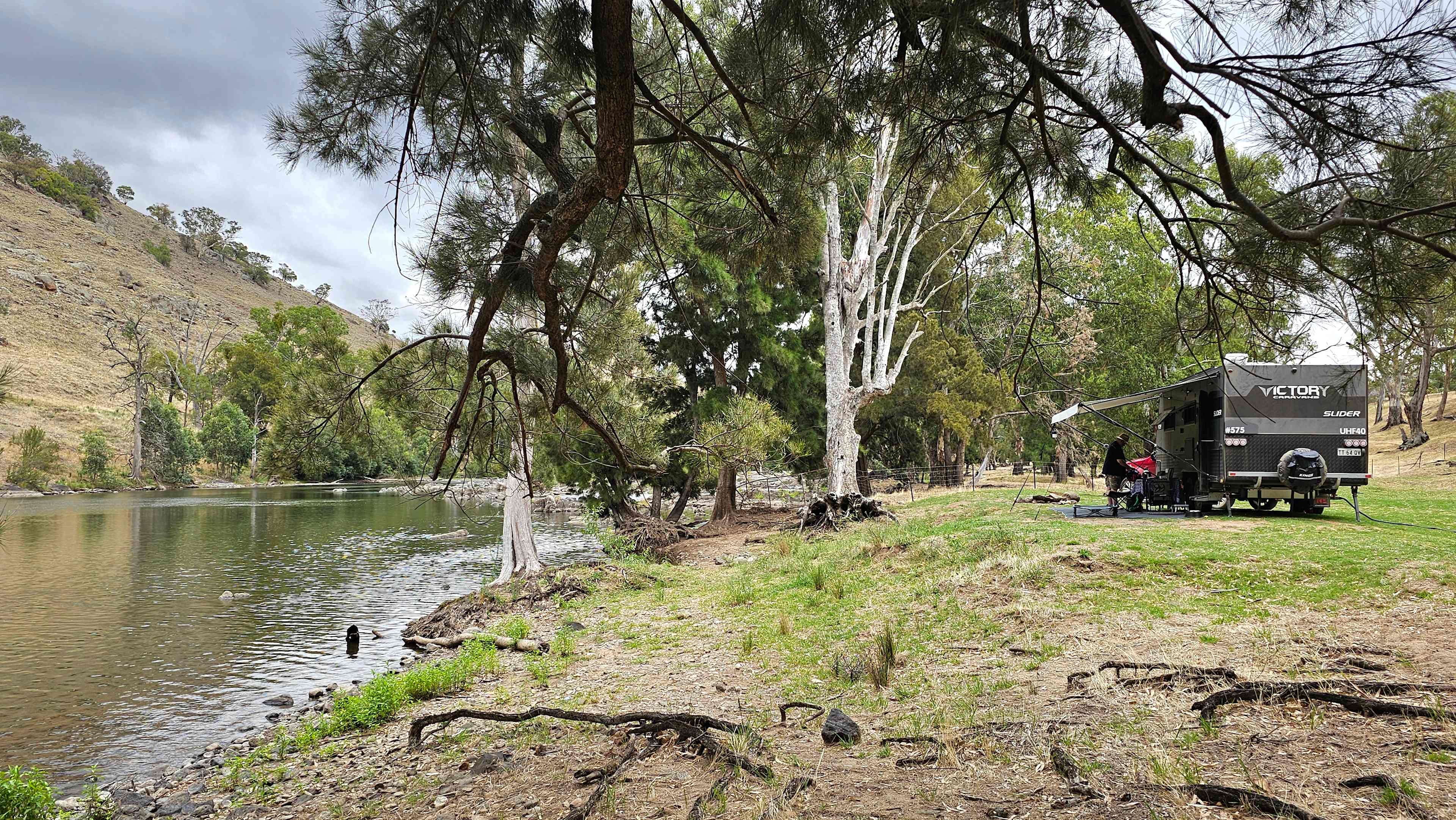 Jarabin on the Murrumbidgee