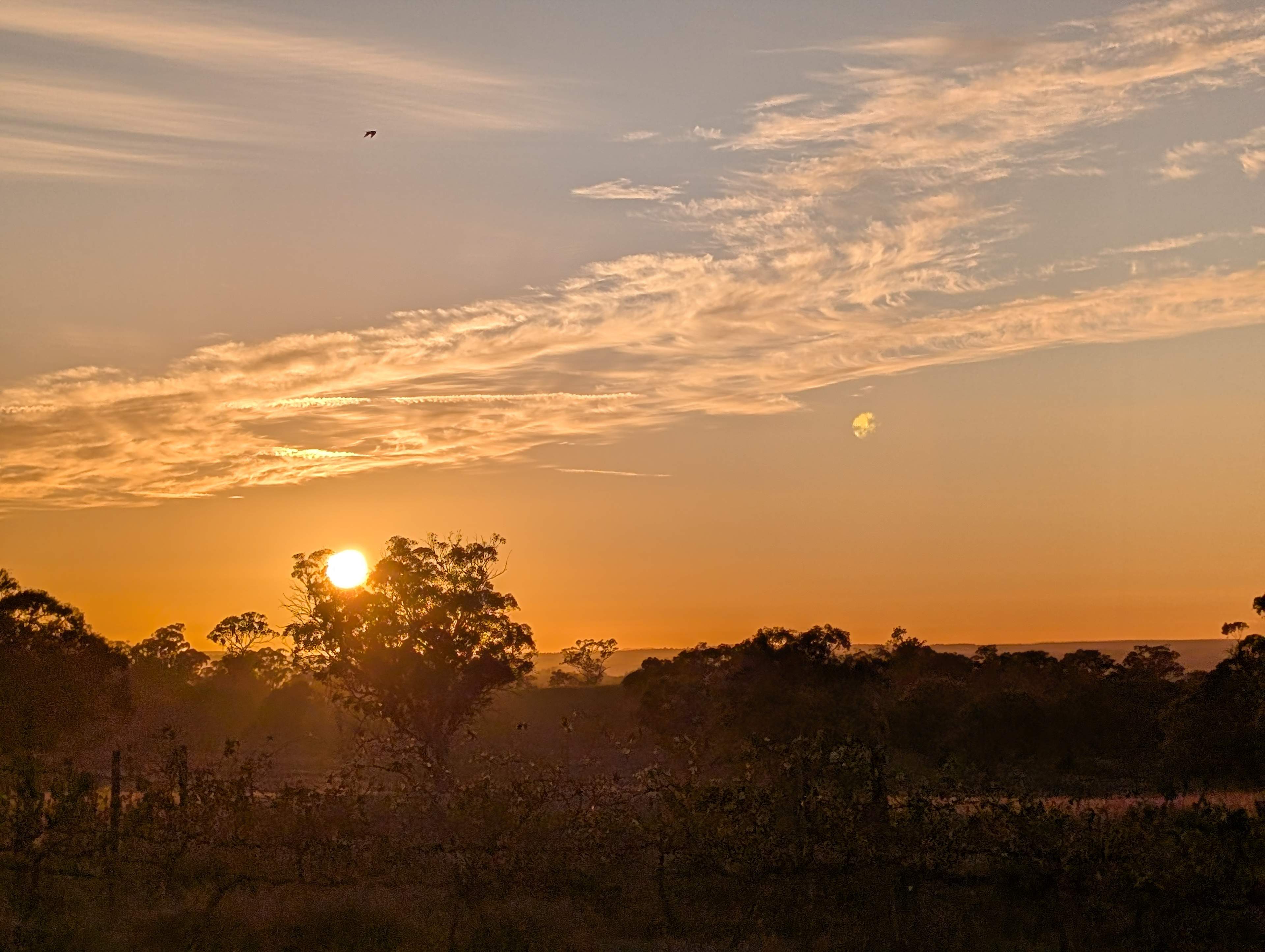 Maalaabidi Naturist Farm Stay