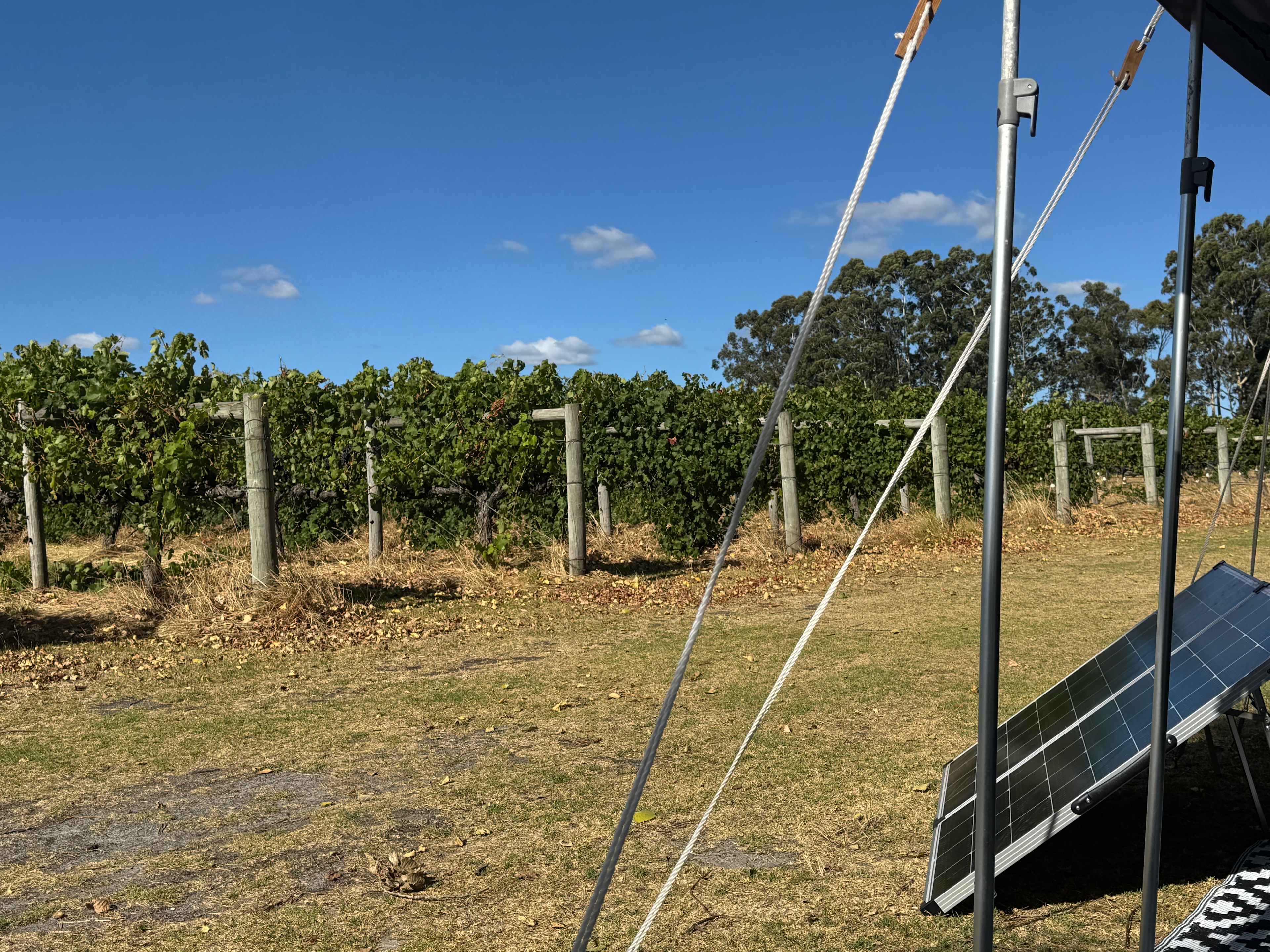 Jarvis Estate Winery & Camping