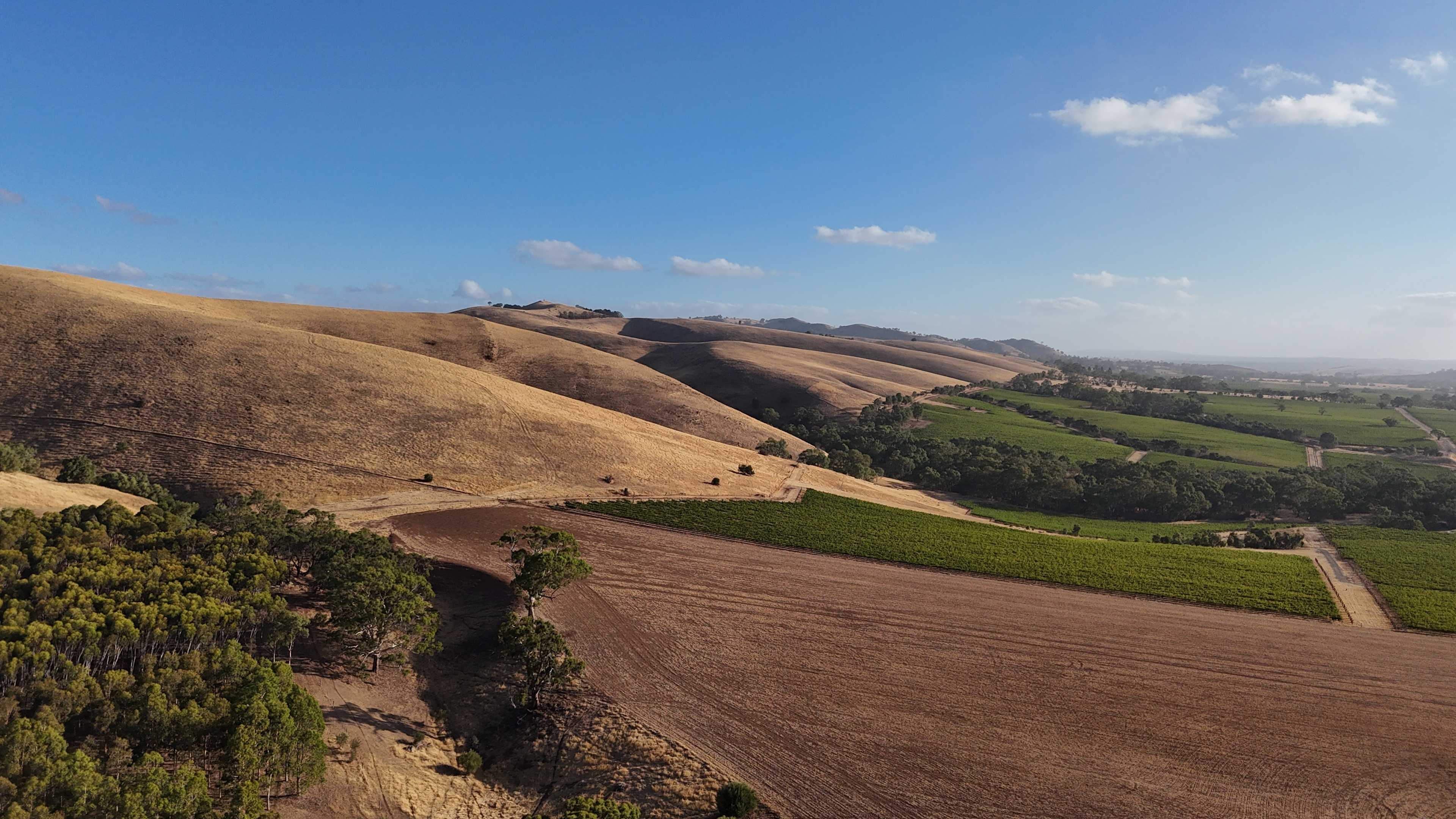 Drone view looking out toward the forest (forest is cut out on the left hand side of the photo)