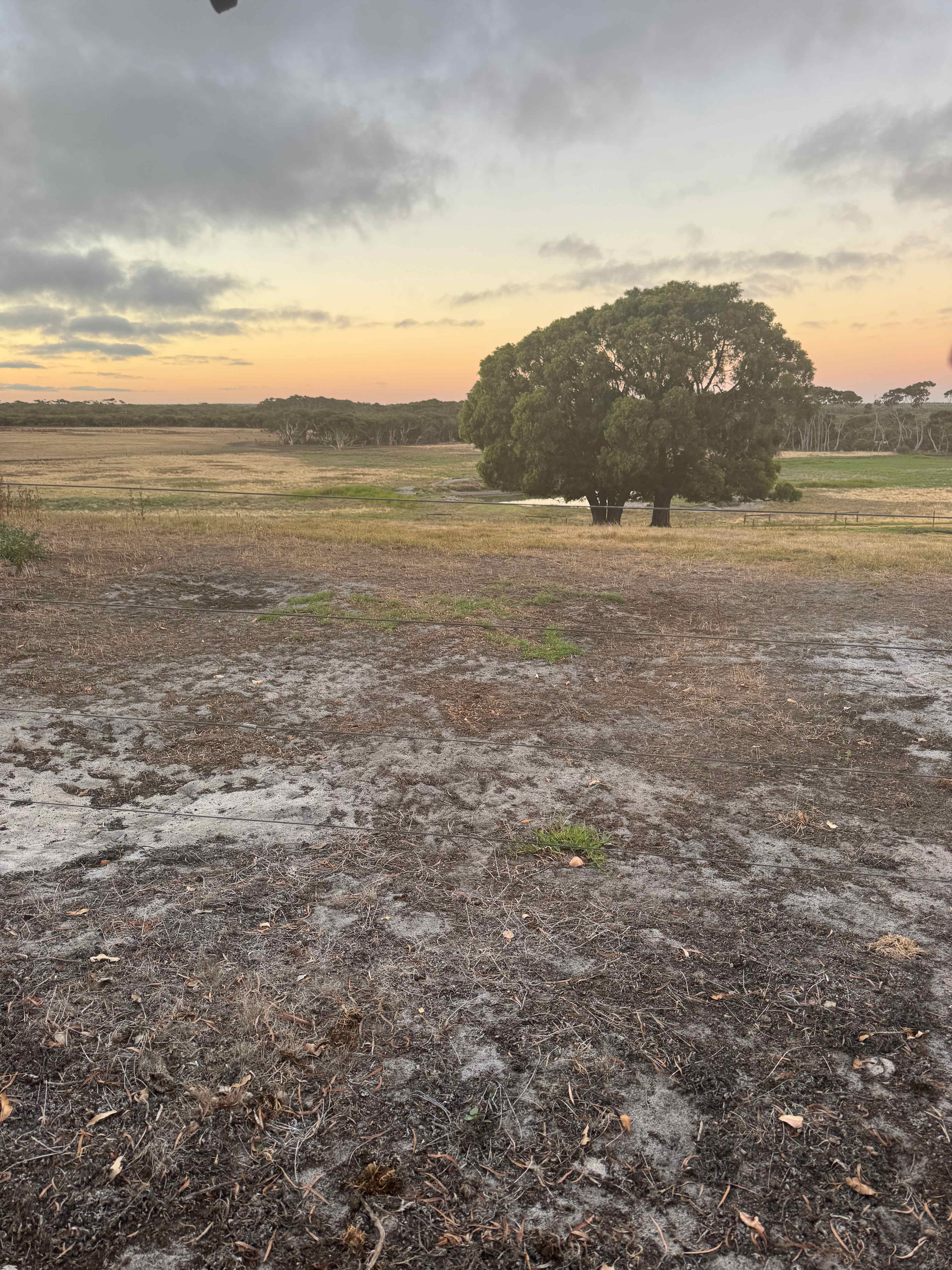 Dunmore Homestead Farmstay