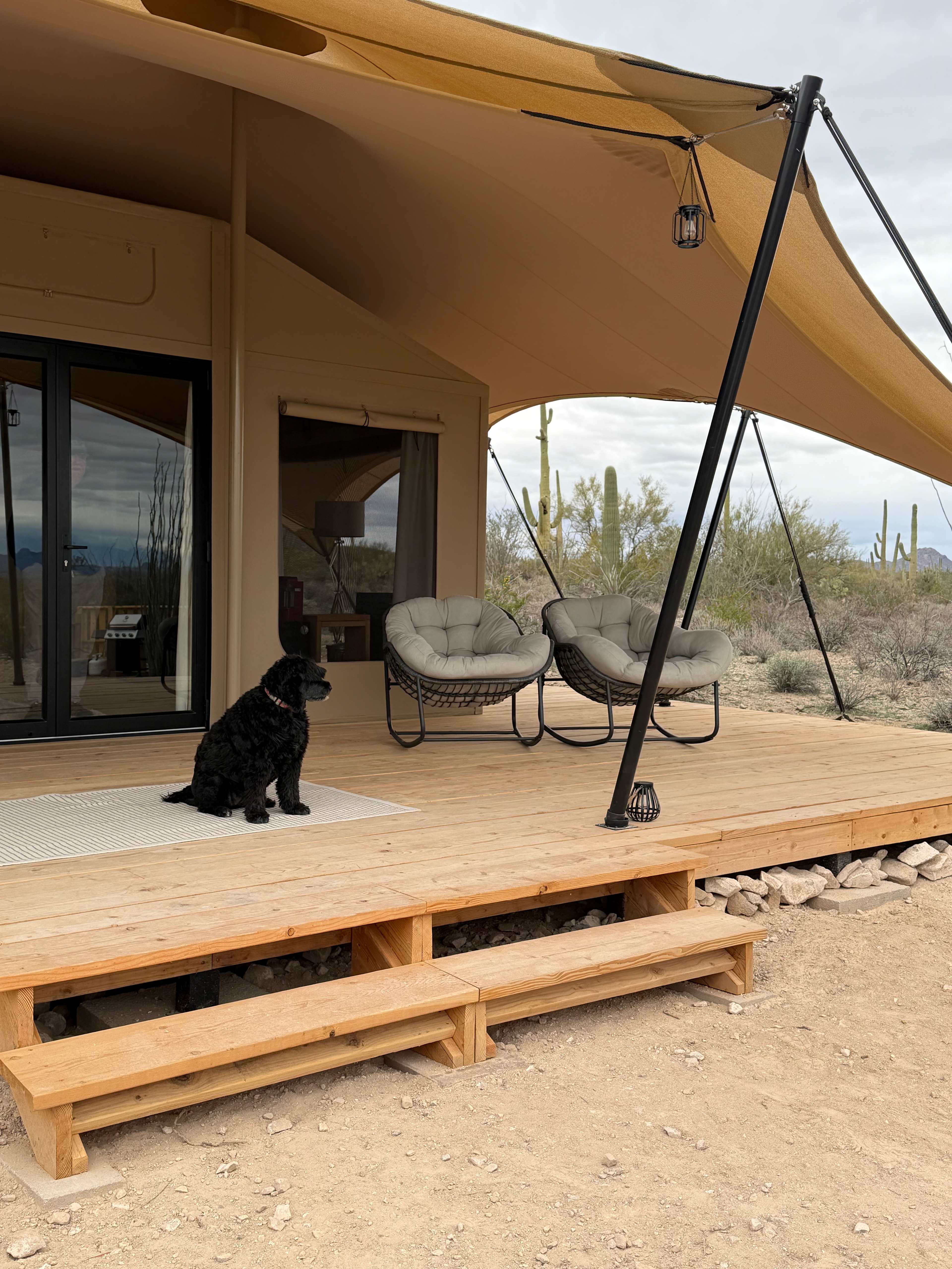 SaguaroGlamp, near Saguaro NP