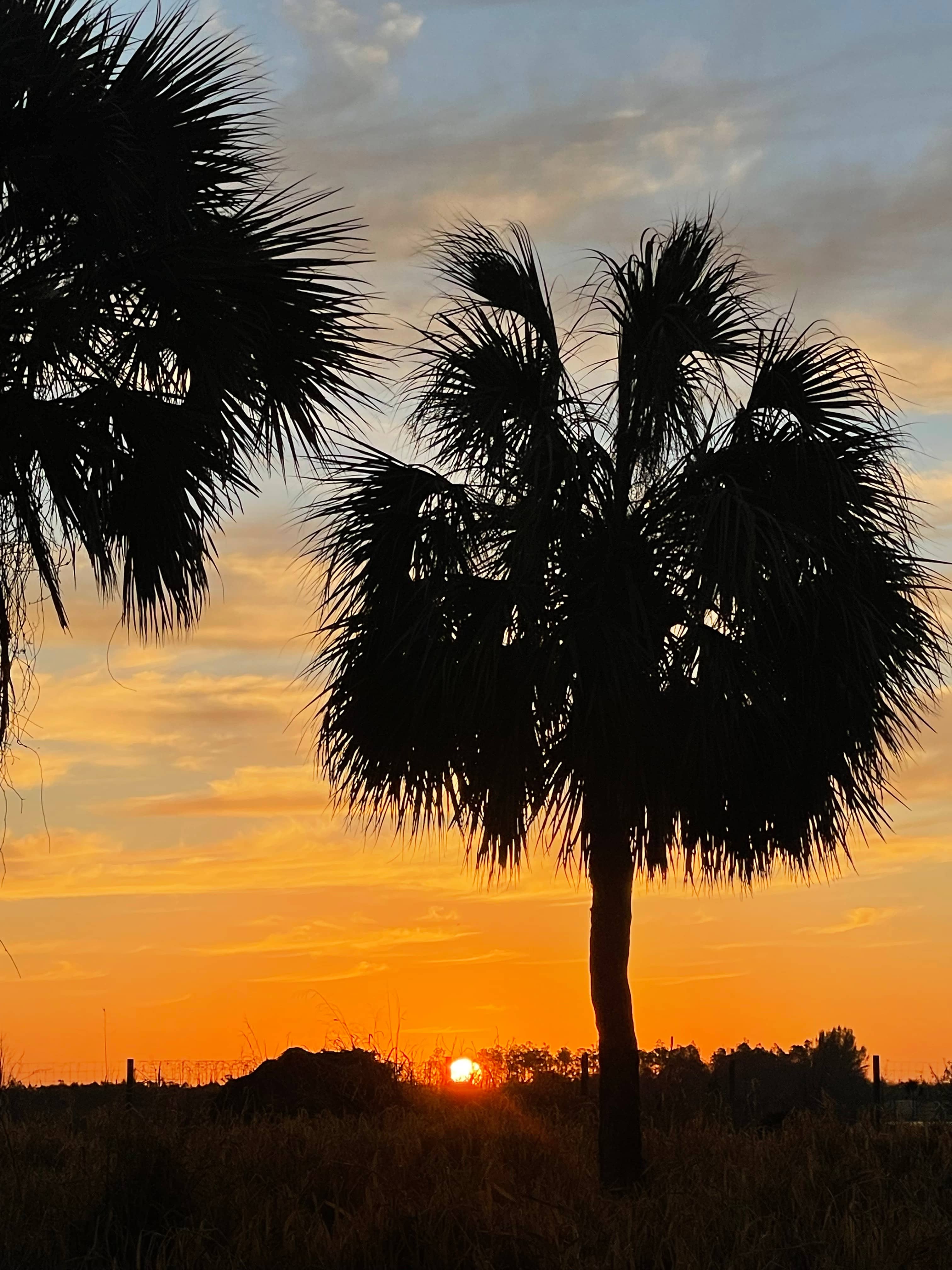 SWFL Everglades Camping