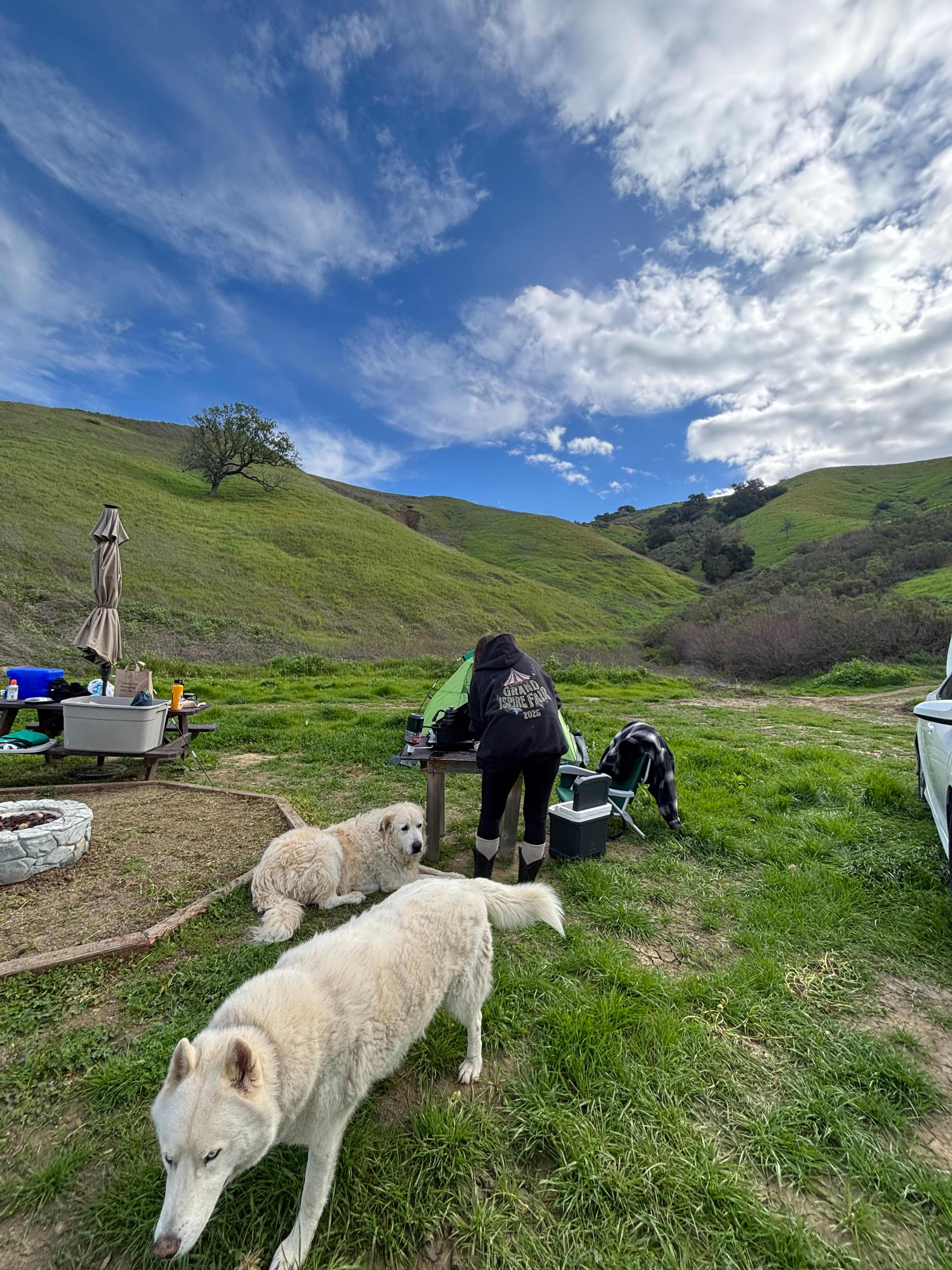 Freedog Farms @ Cactus Flower Ranch