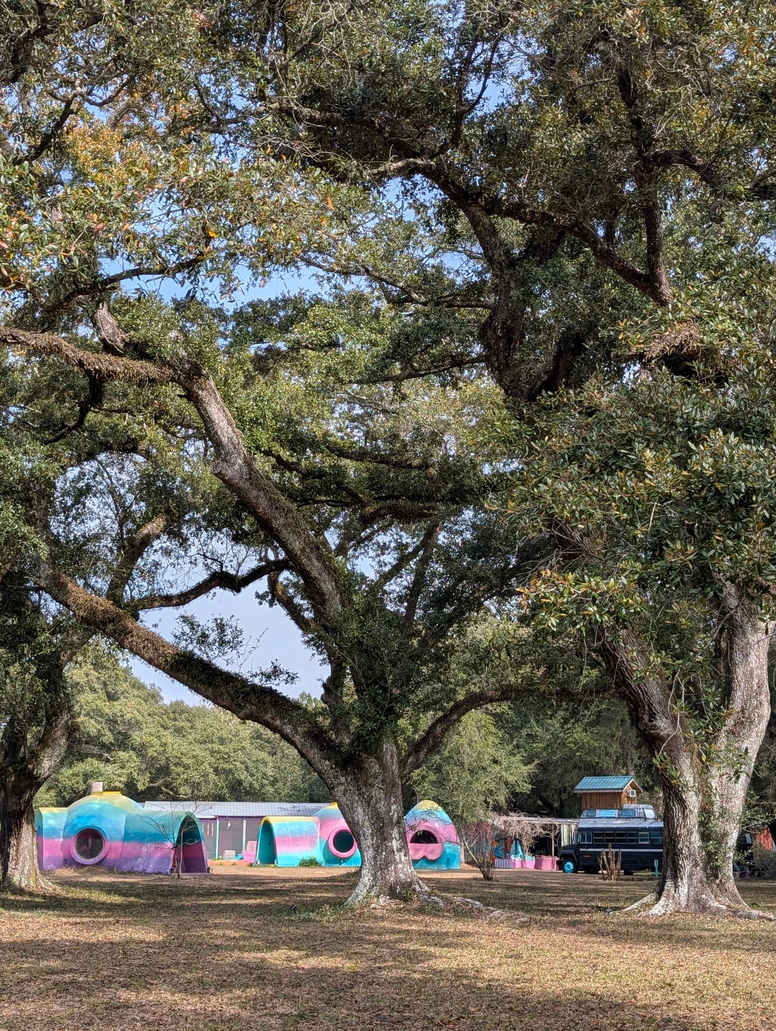 Colorful Camping at Beakertopia✨️🌈