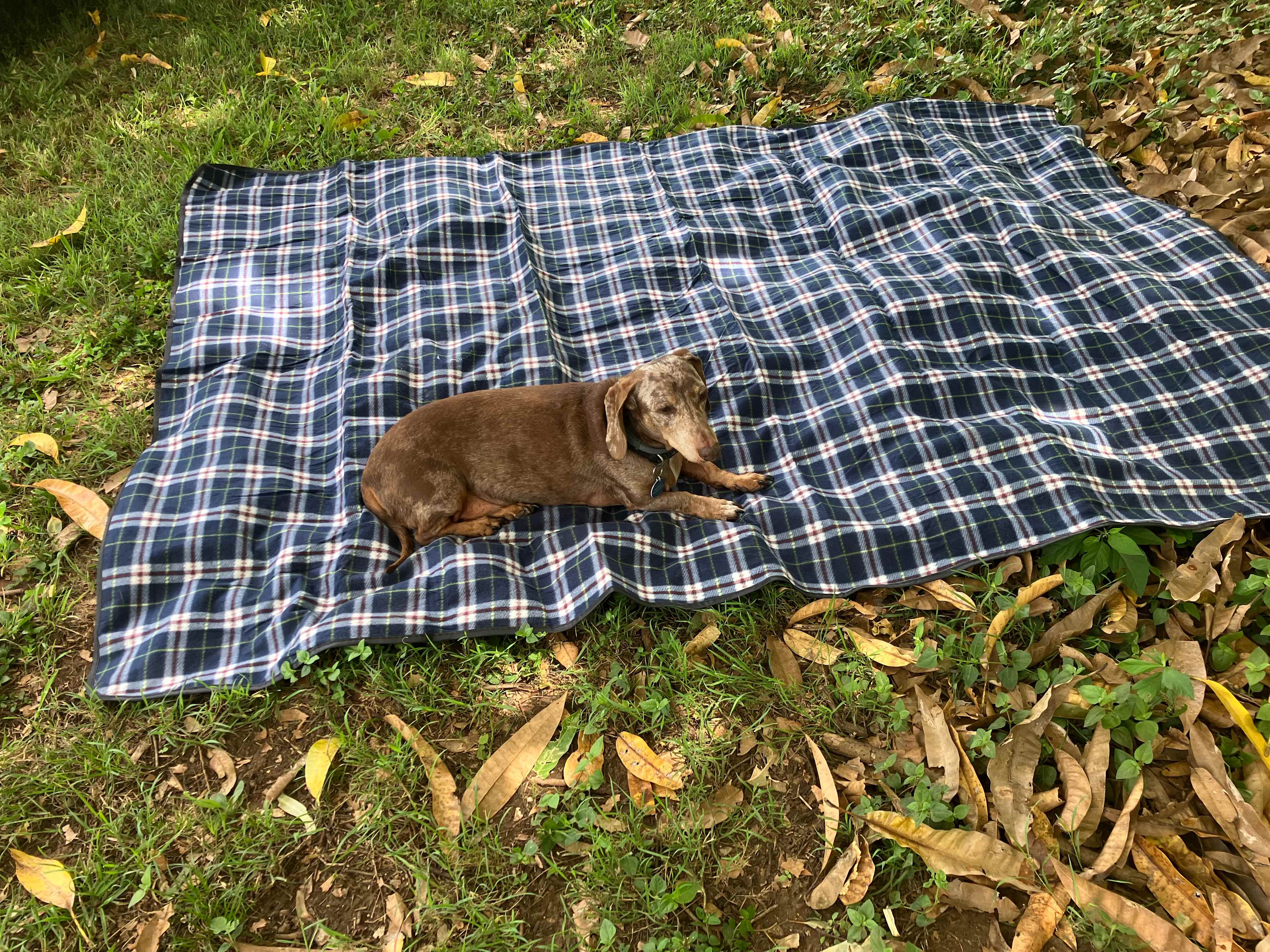 Riverfront Hobby Farmstay