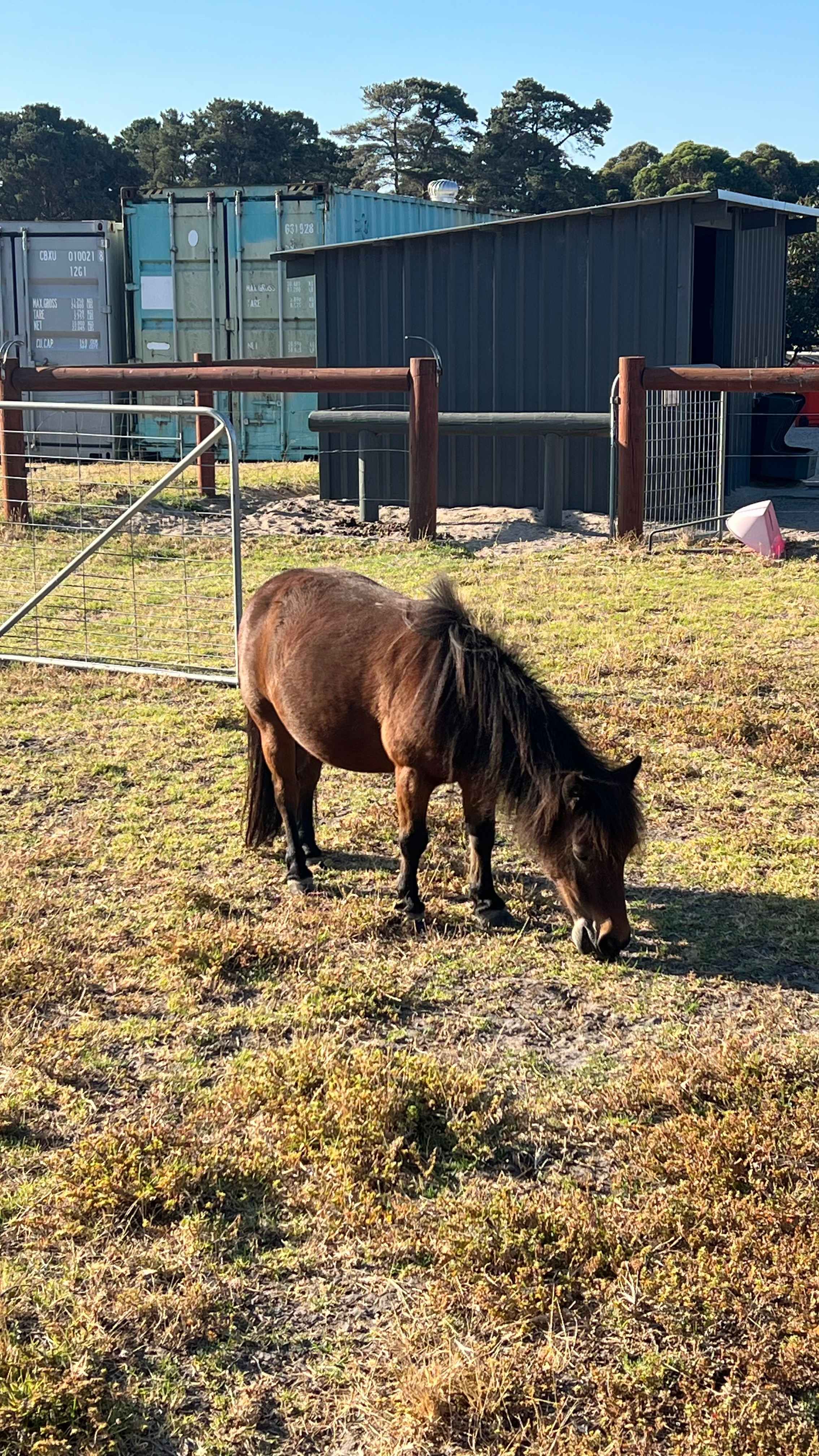 Shacks at Kardella Park