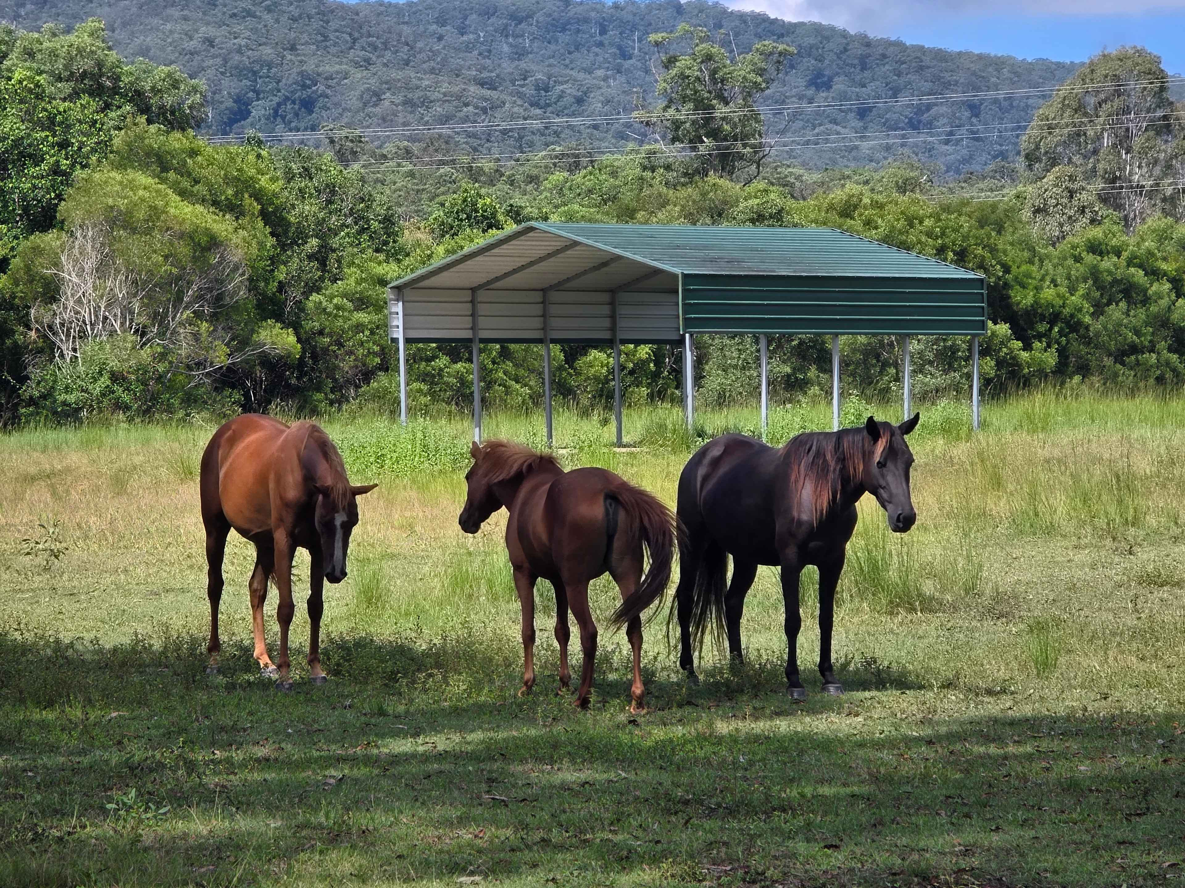 Noosa Equestrian & Camping