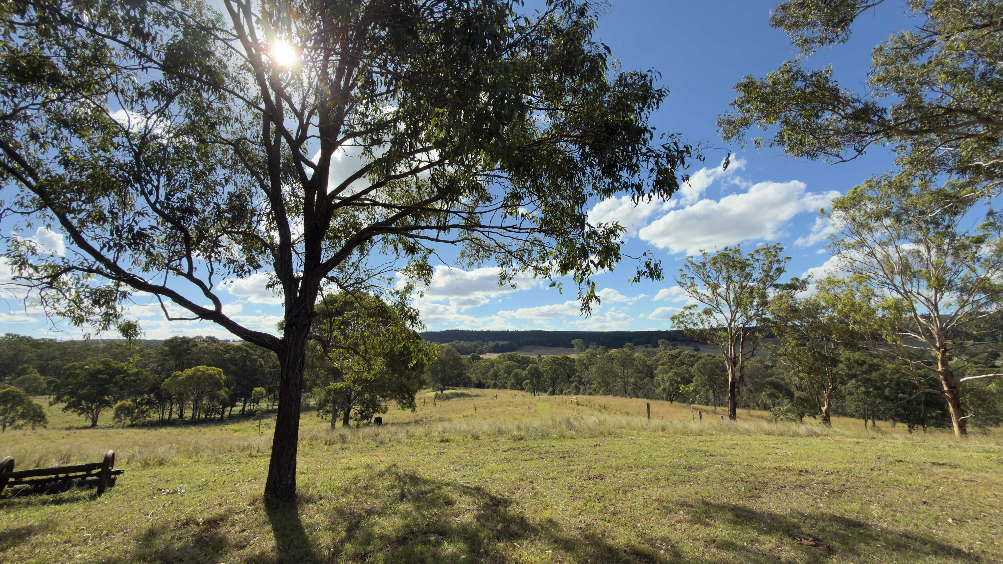 Empty Pockets creek-side Farm Stay