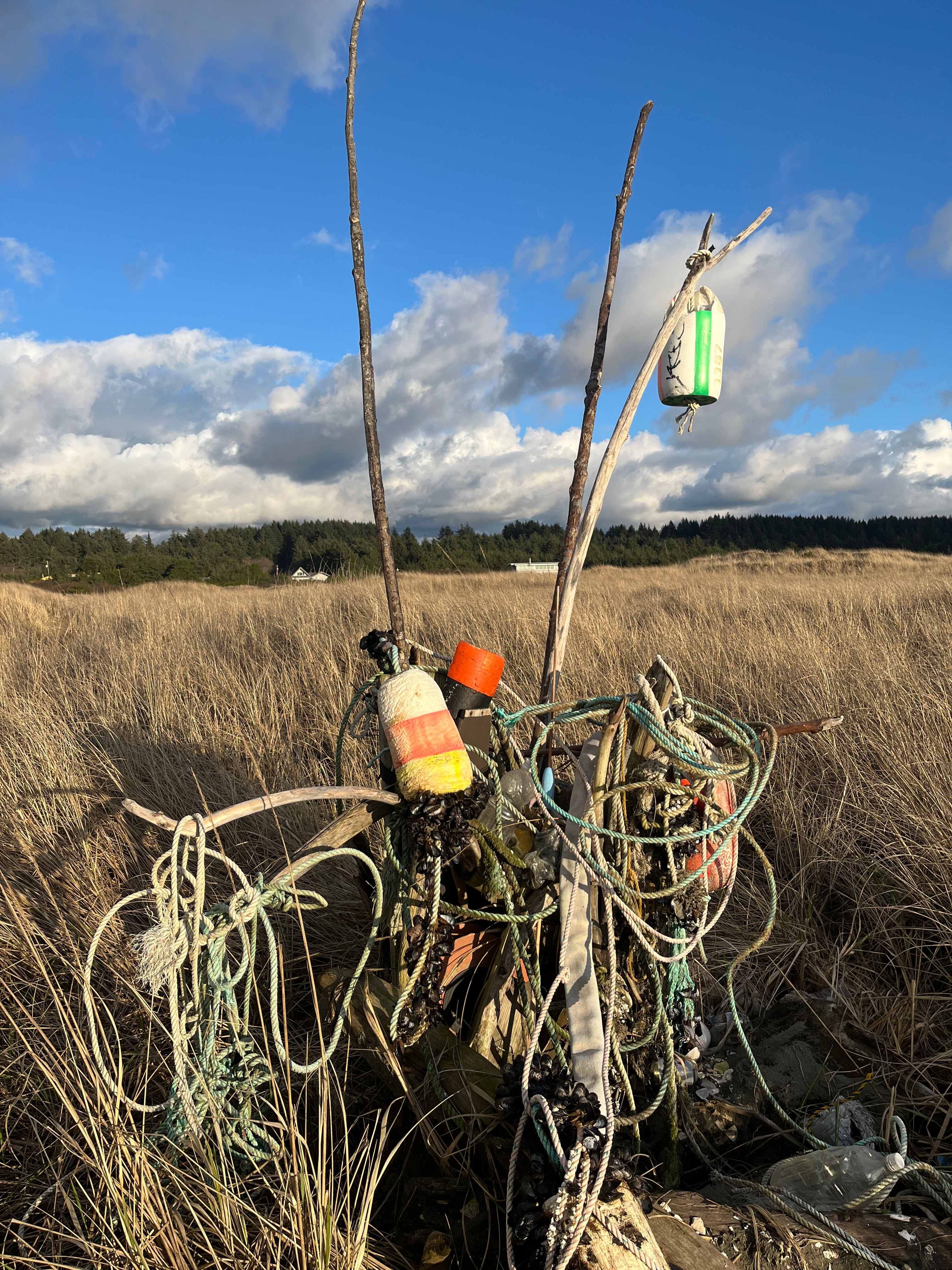 Pacific Dunes Resort