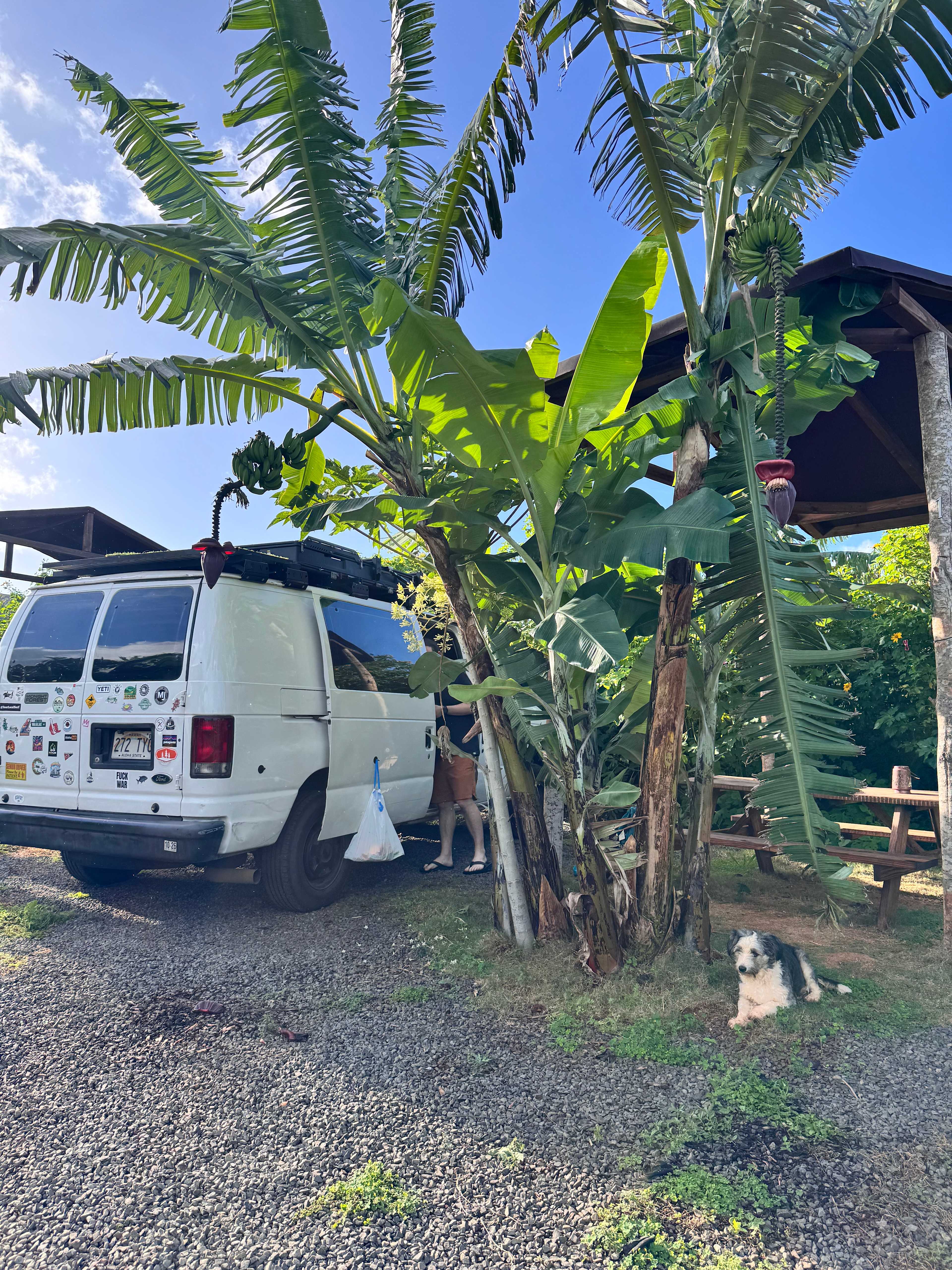 Living Circle Farms Hawaii