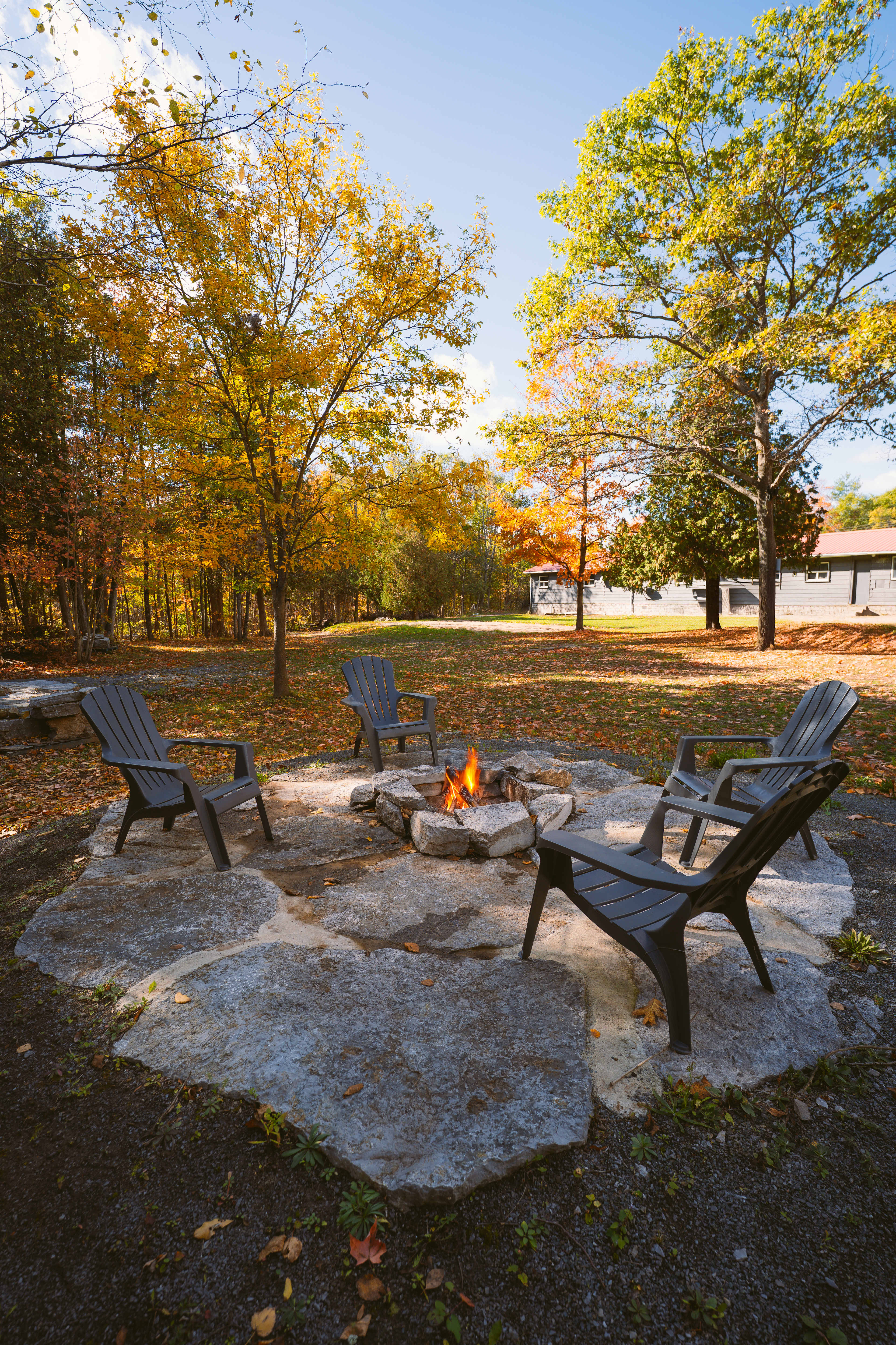 Moira Lake Motel And Campground