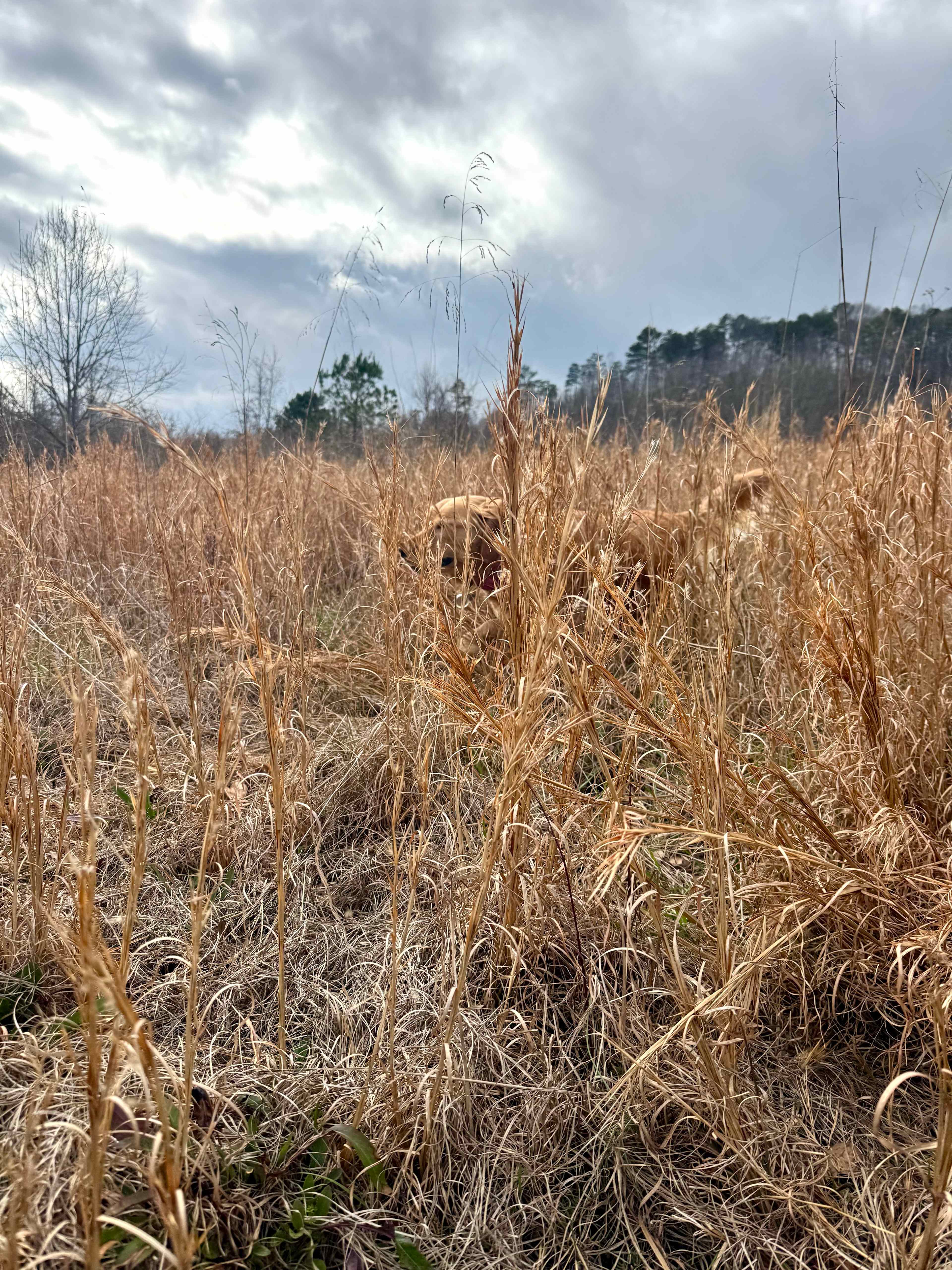 Bug Tussle Creek Bend