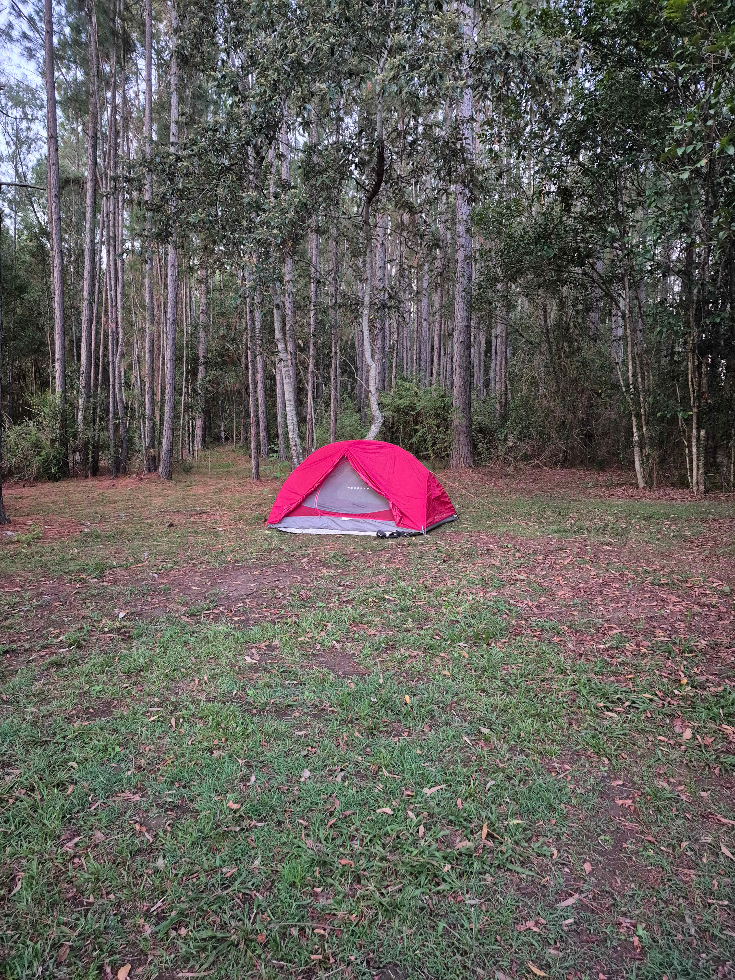 Bushywood at Woodfordskilake