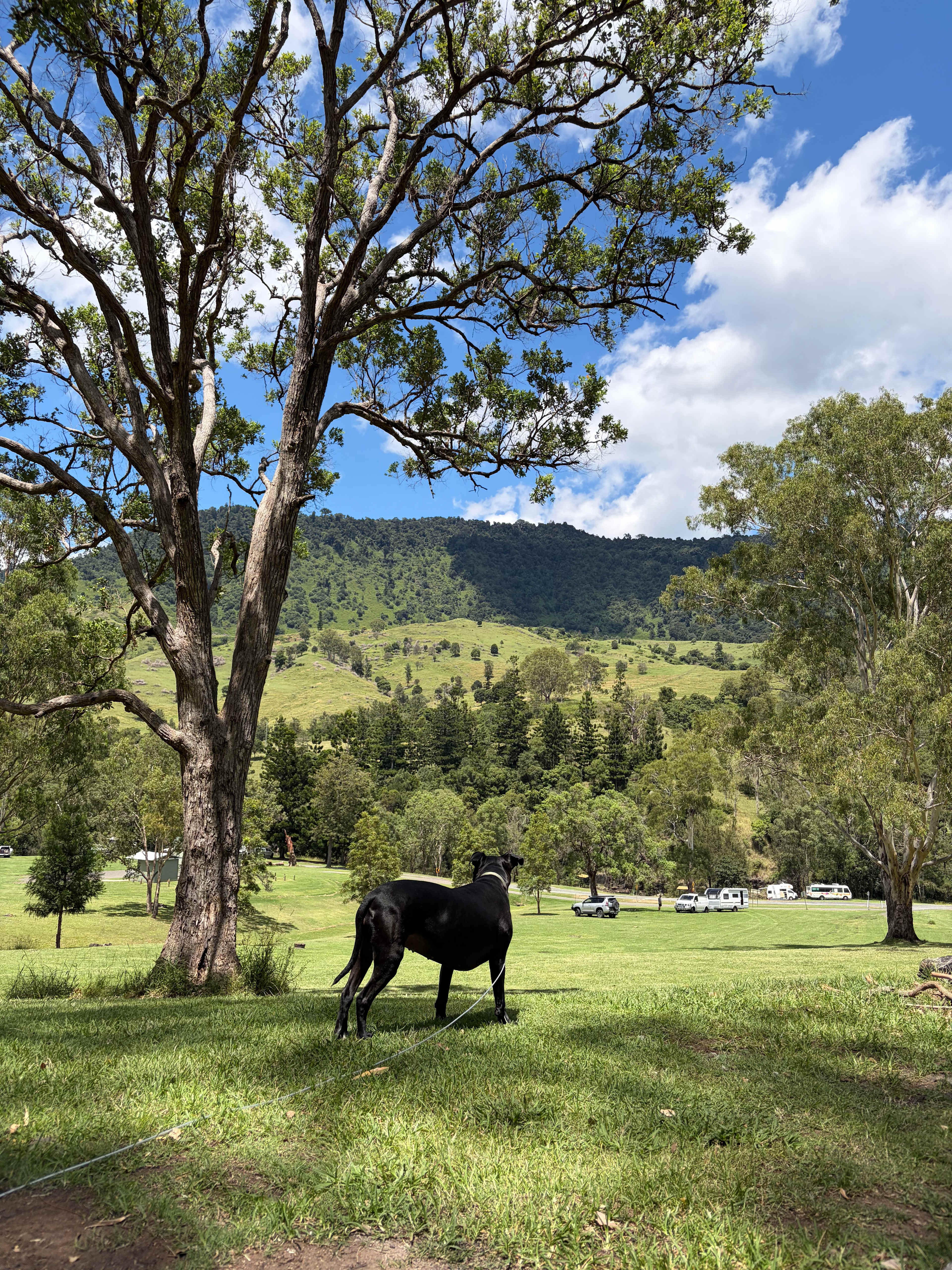 Andrew Drynan Park-Camp with a view
