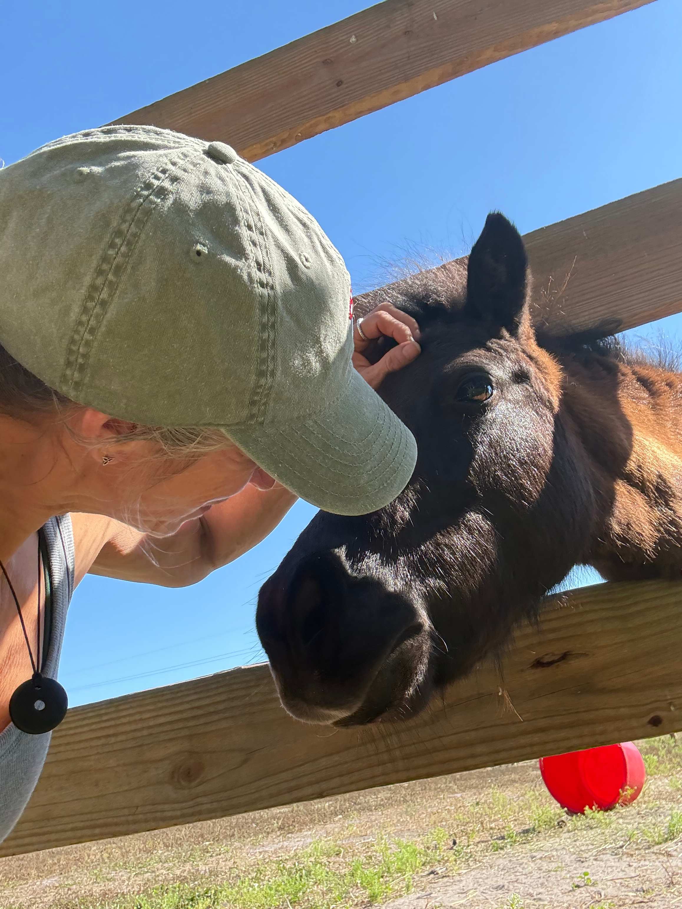 Taste of Old Florida