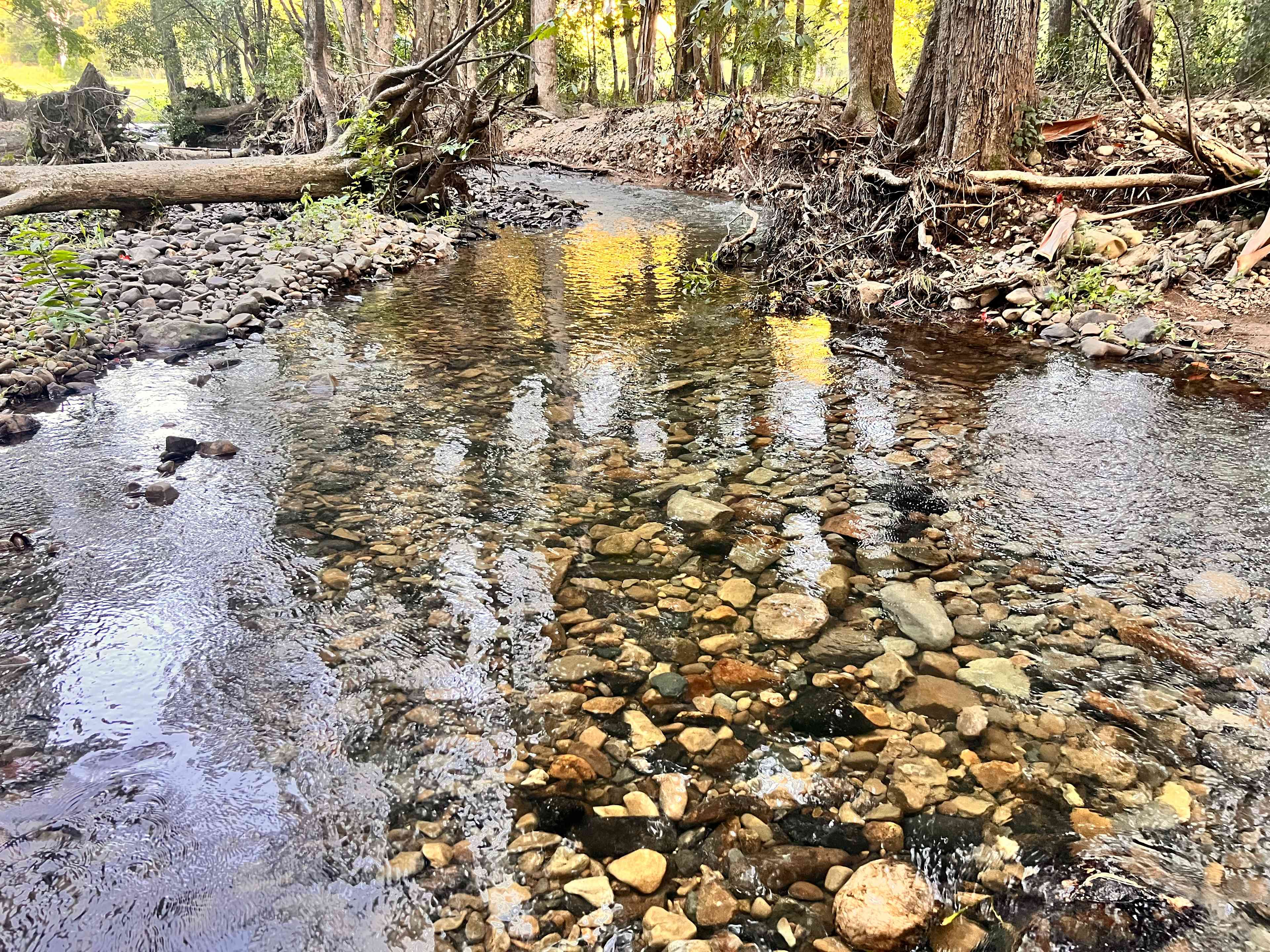 Crystal Creek Springs