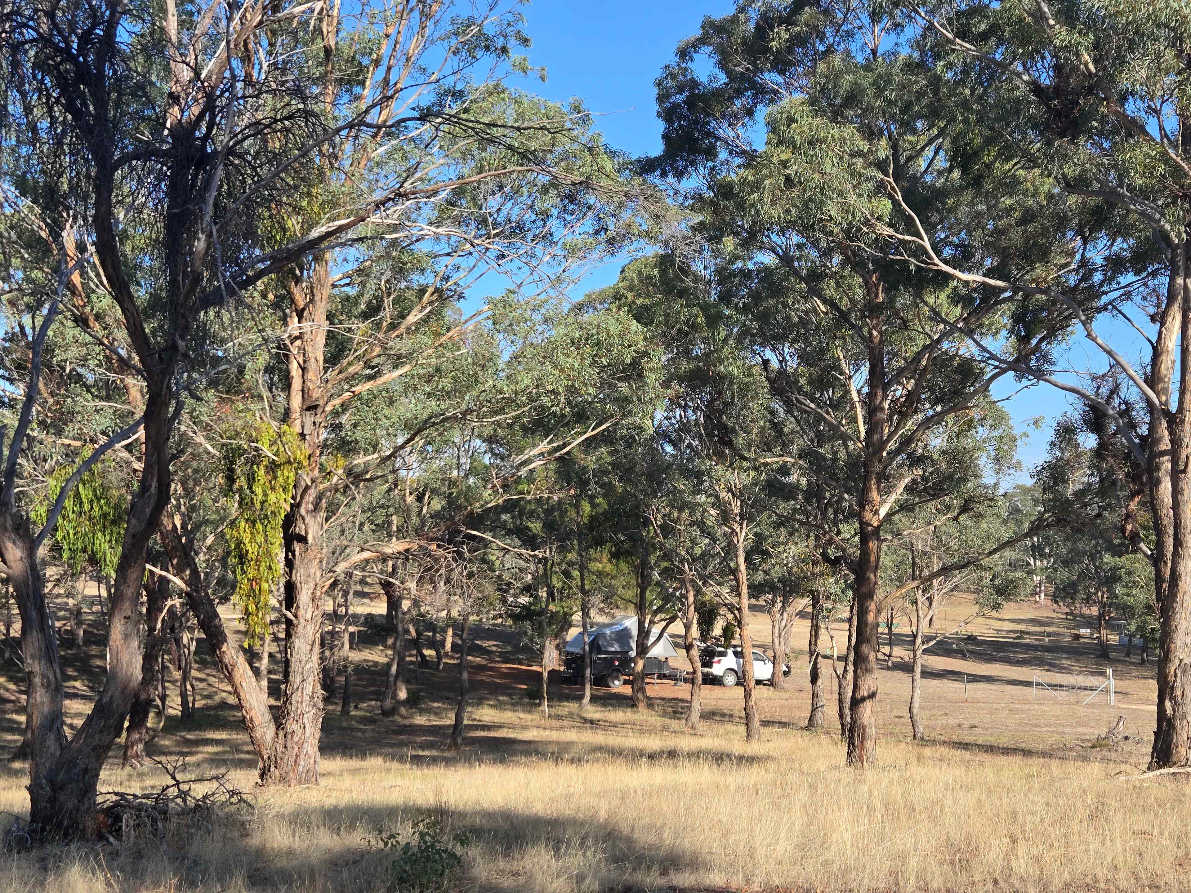 Maddara.Organic.Farm.and.Art