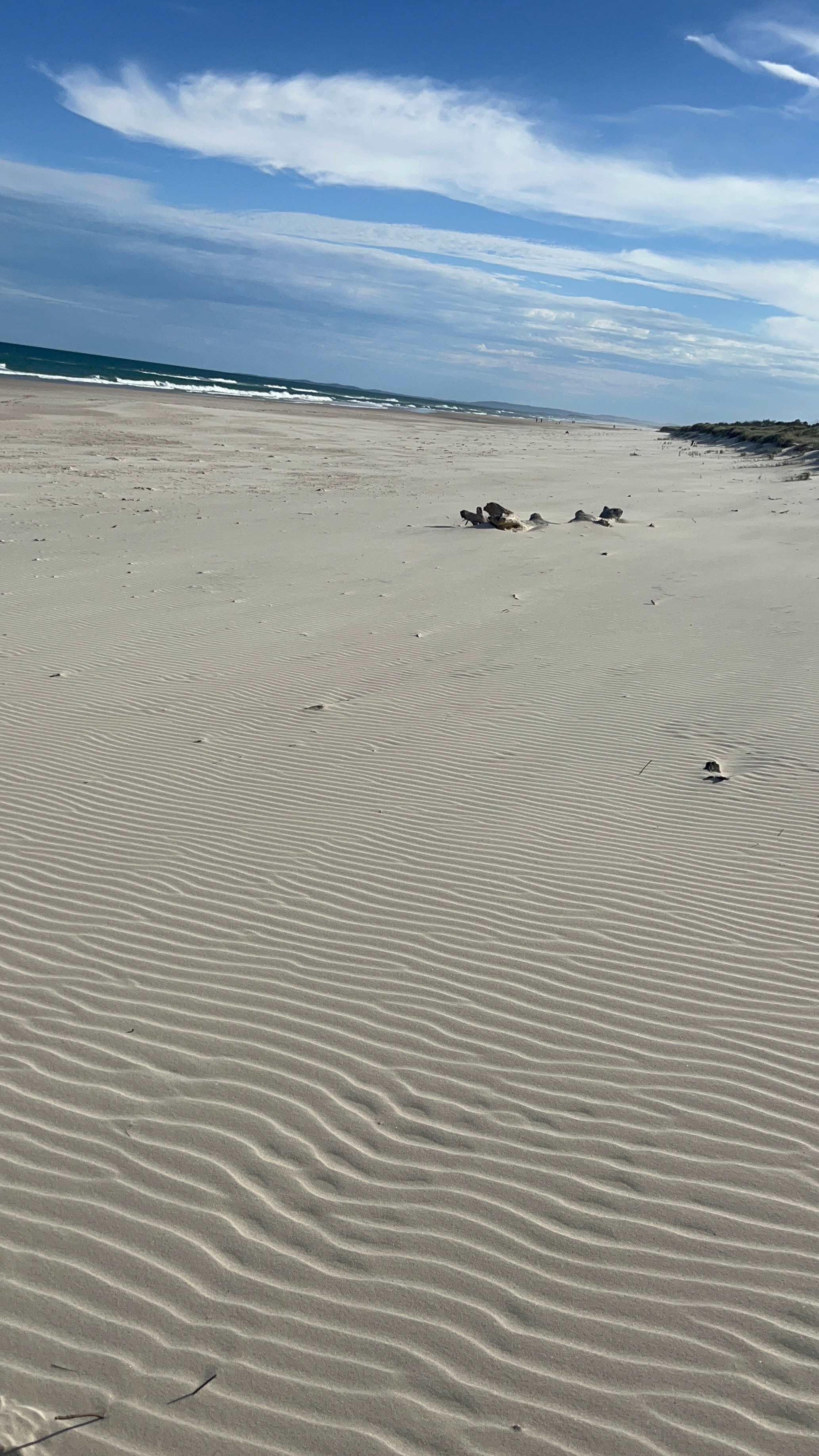 Absolute Beachfront Patchs Beach