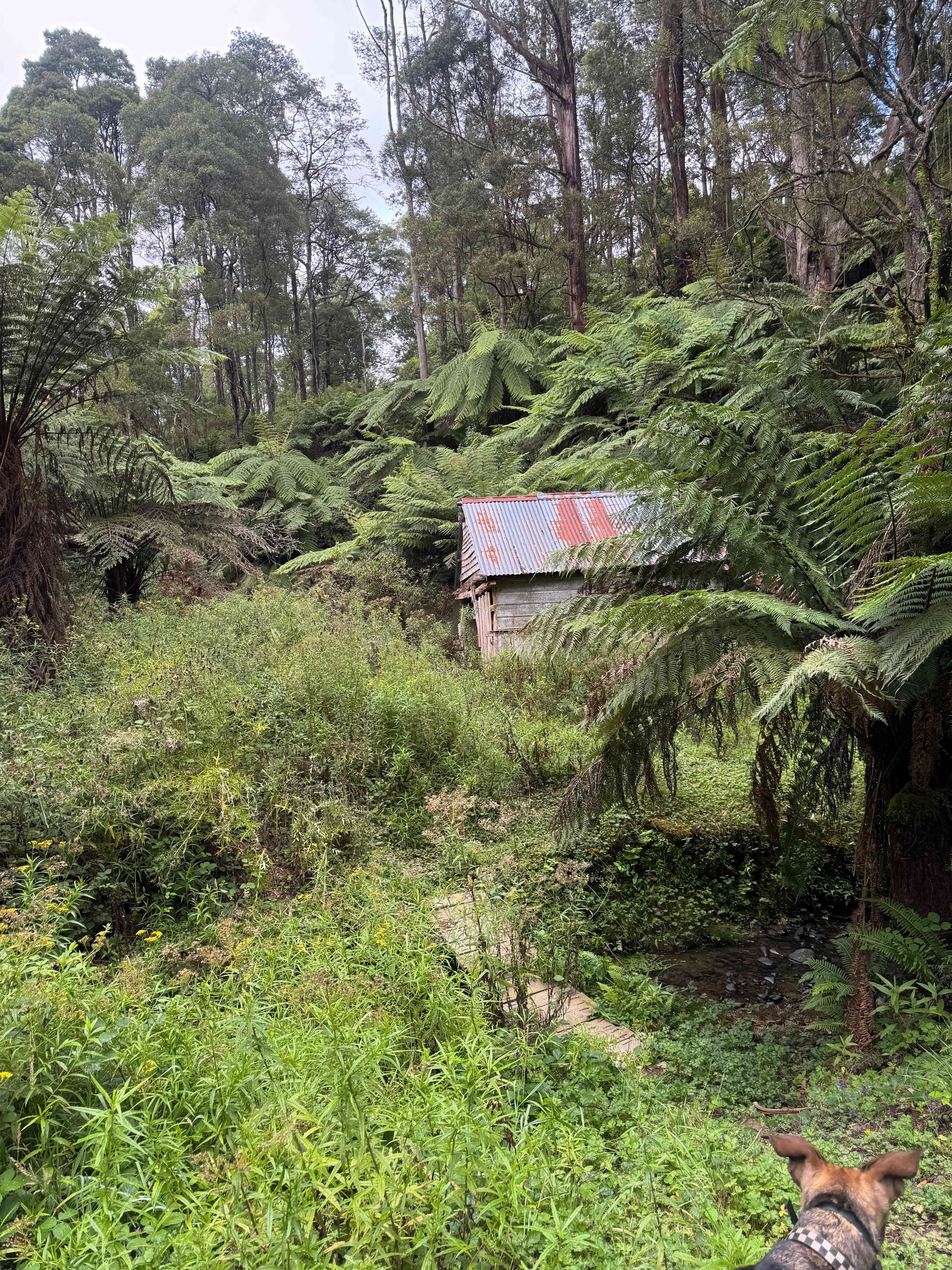 Mountain Life Retreat