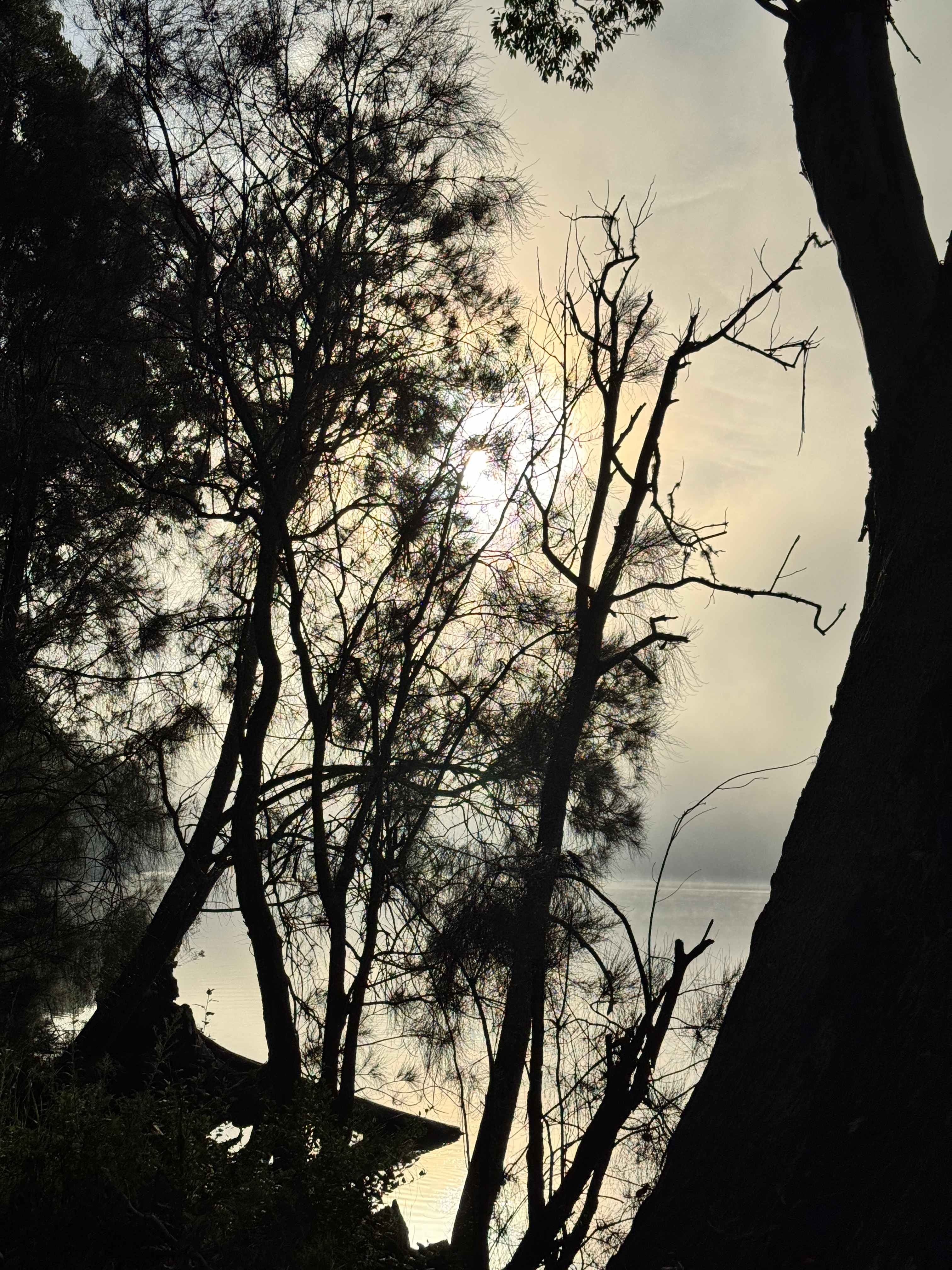 Clyde River Camp Grounds