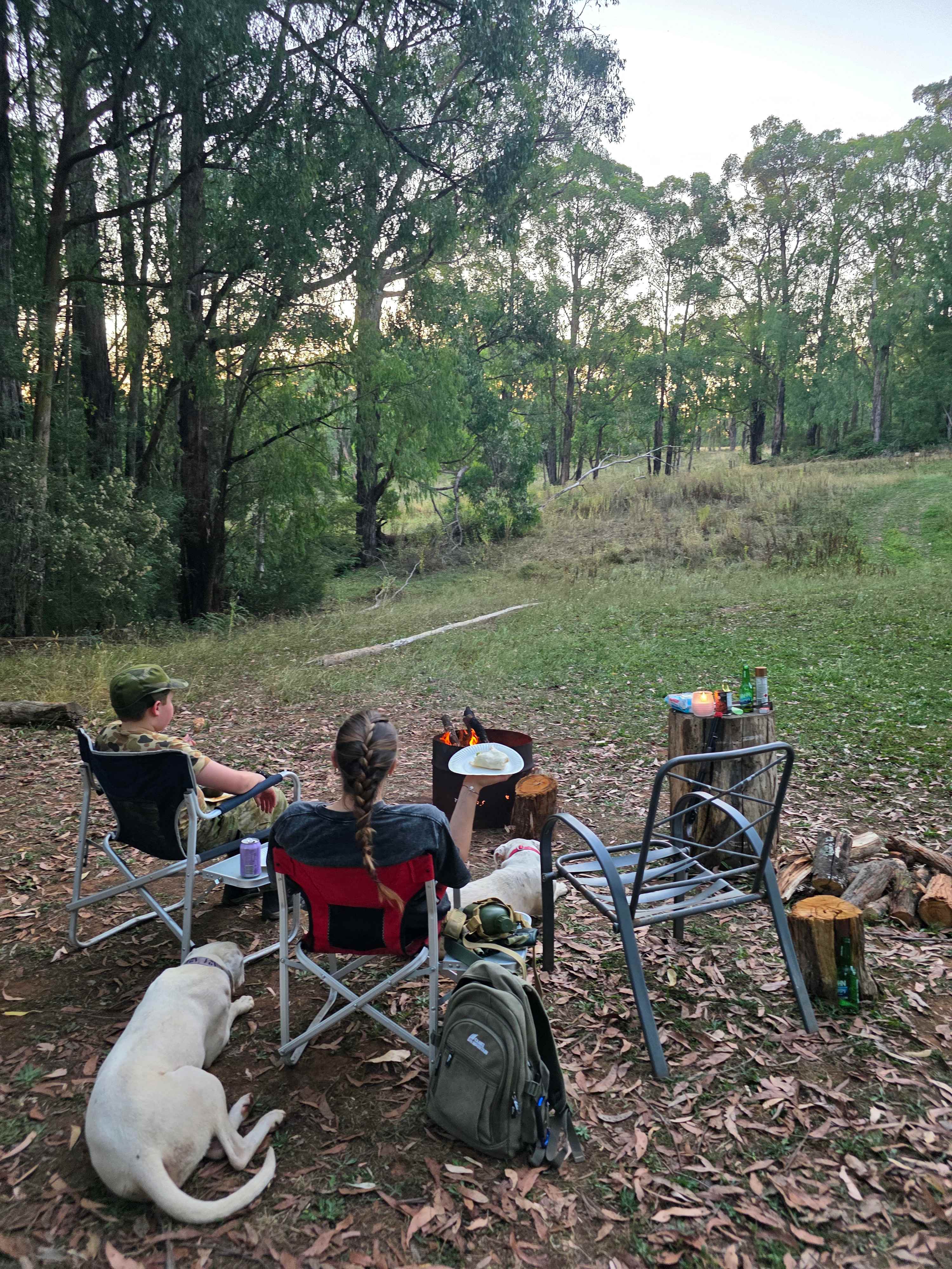 Nerrigundah Contrée Sauvage