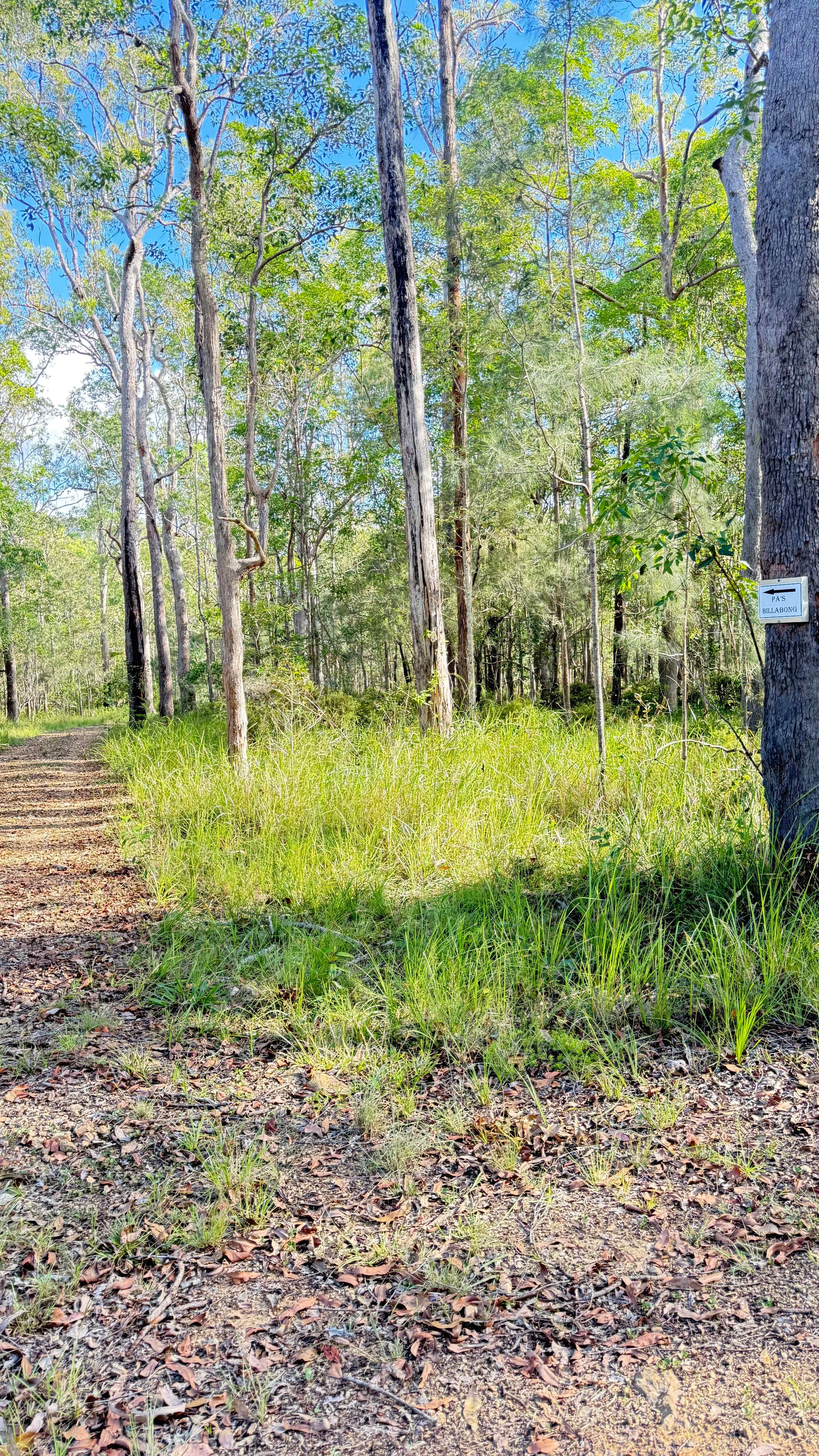 Great tracks and signage 