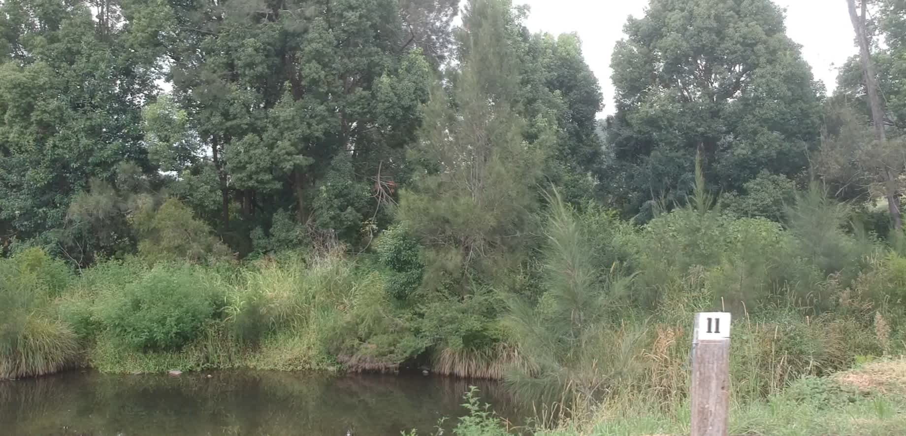 Mt Lion Farm Secluded Creek Camping