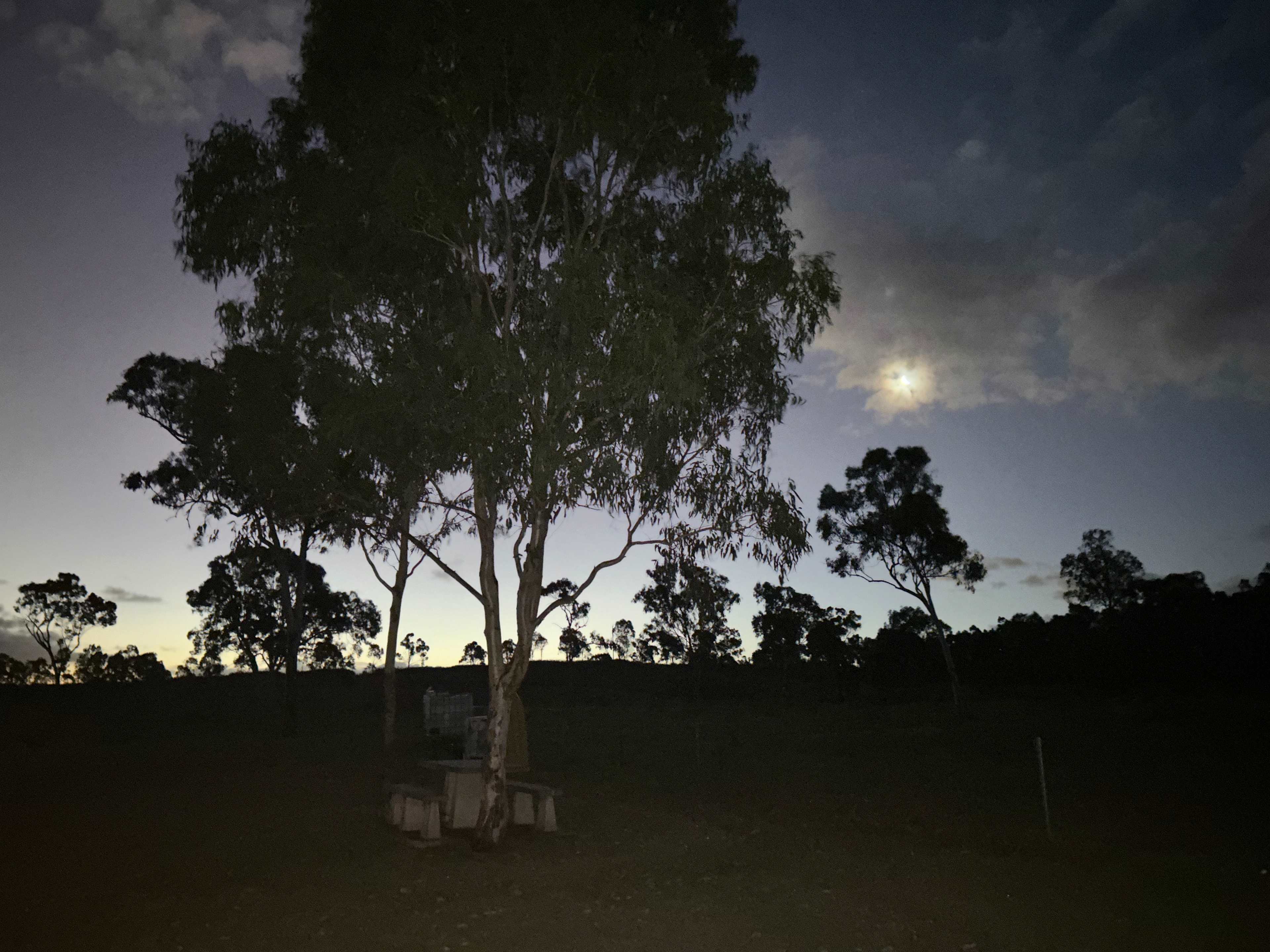 Take-A-Break Bush Camp