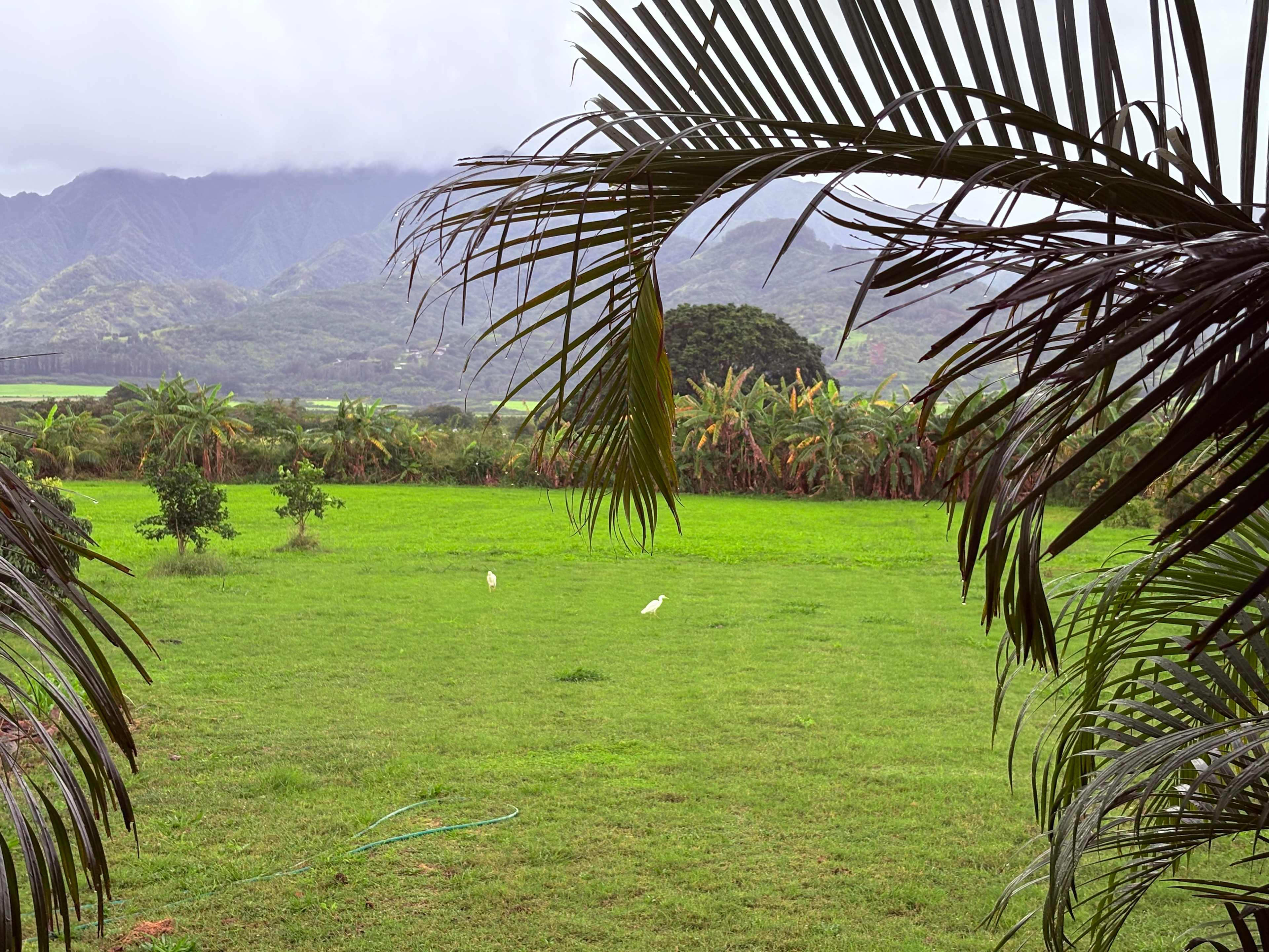Peaceful Tiny Home North Shore
