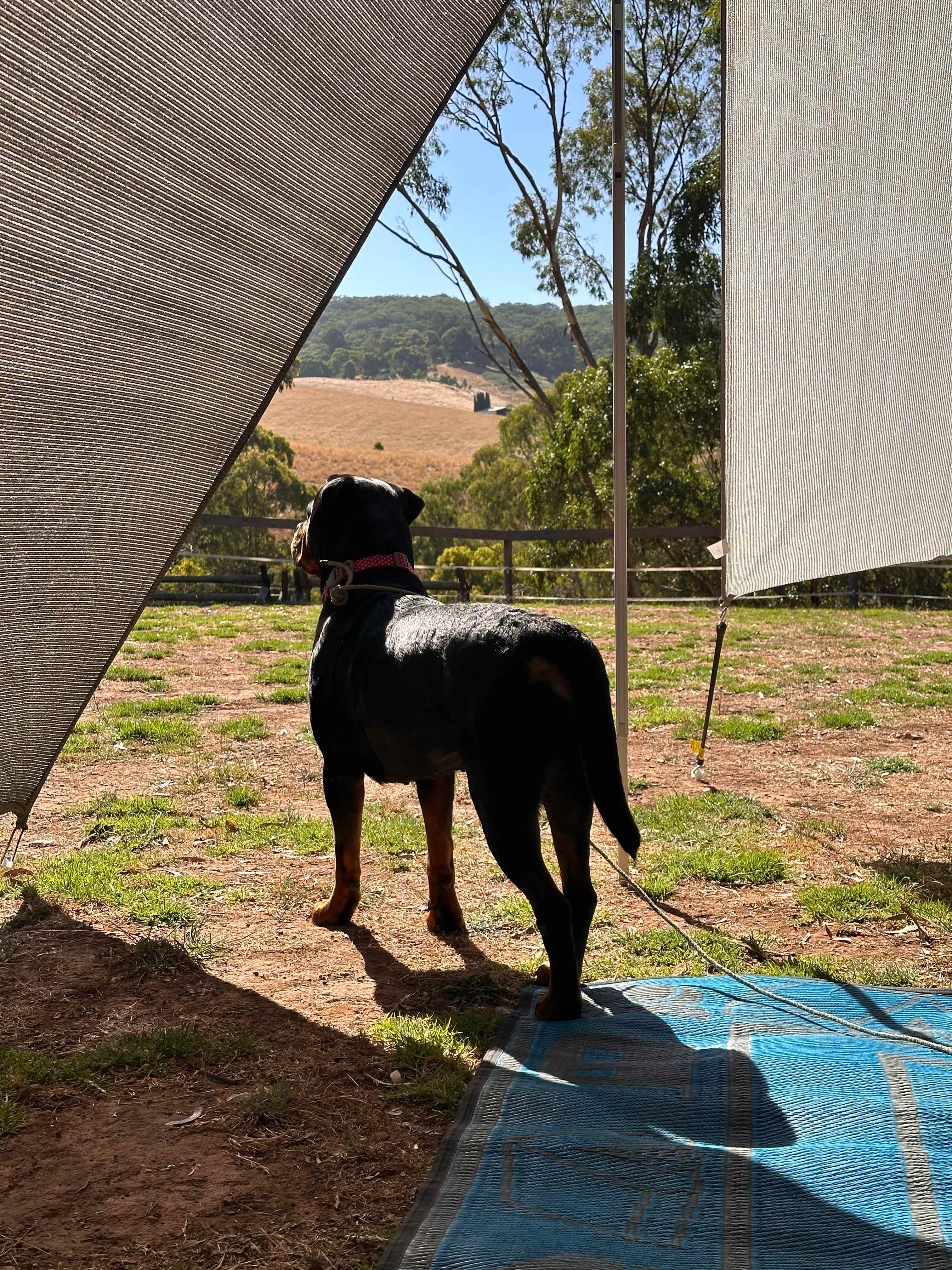 Noorla Farm (Happy Camping Ground)