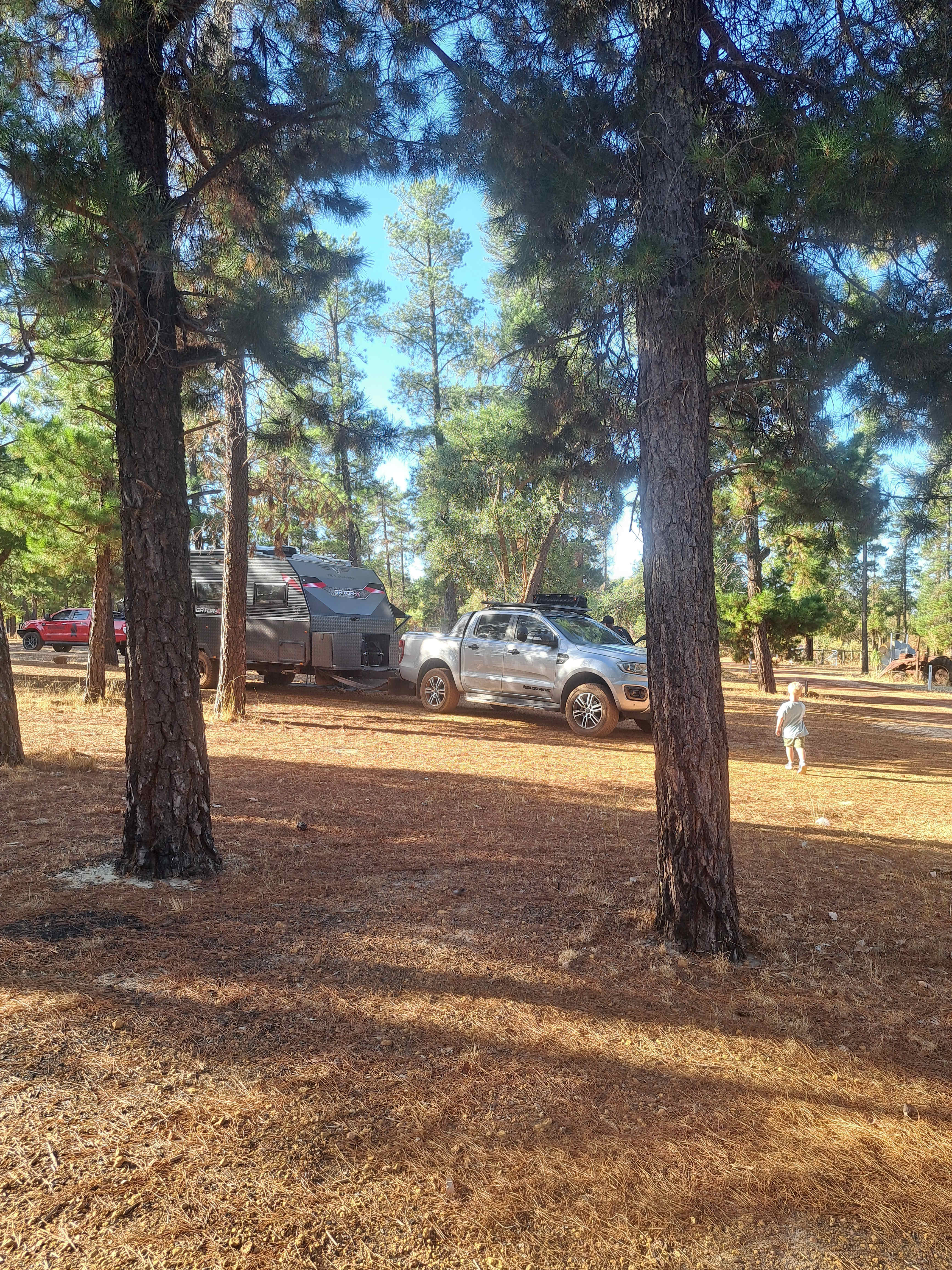 Little Eeden Farm Pine Camp