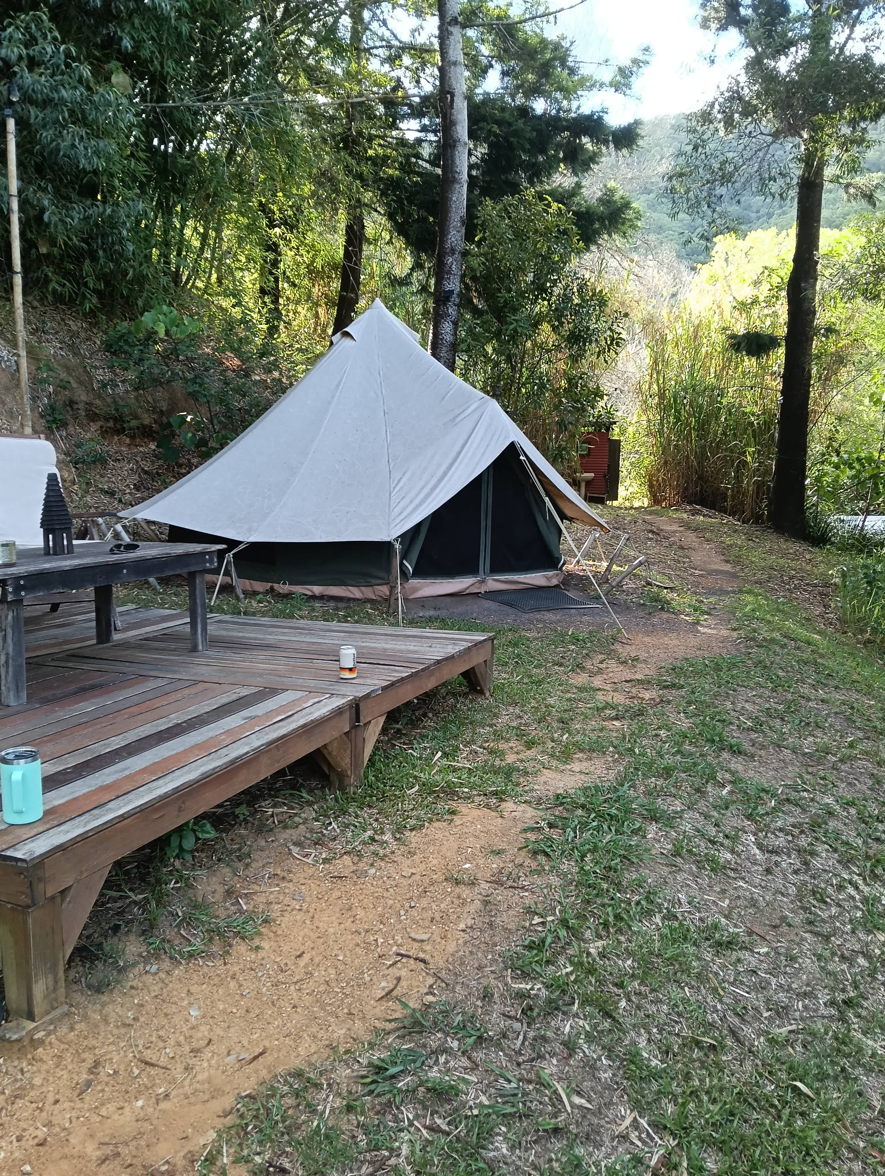 A Tent in The Forest