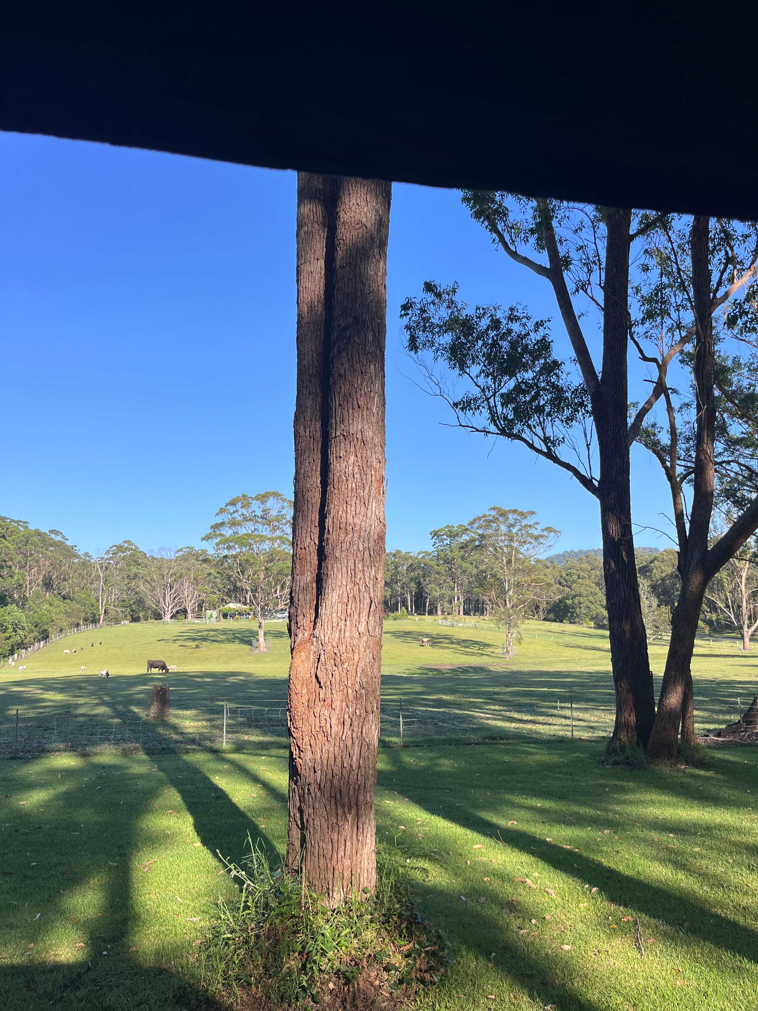 Country Camping on the Coast