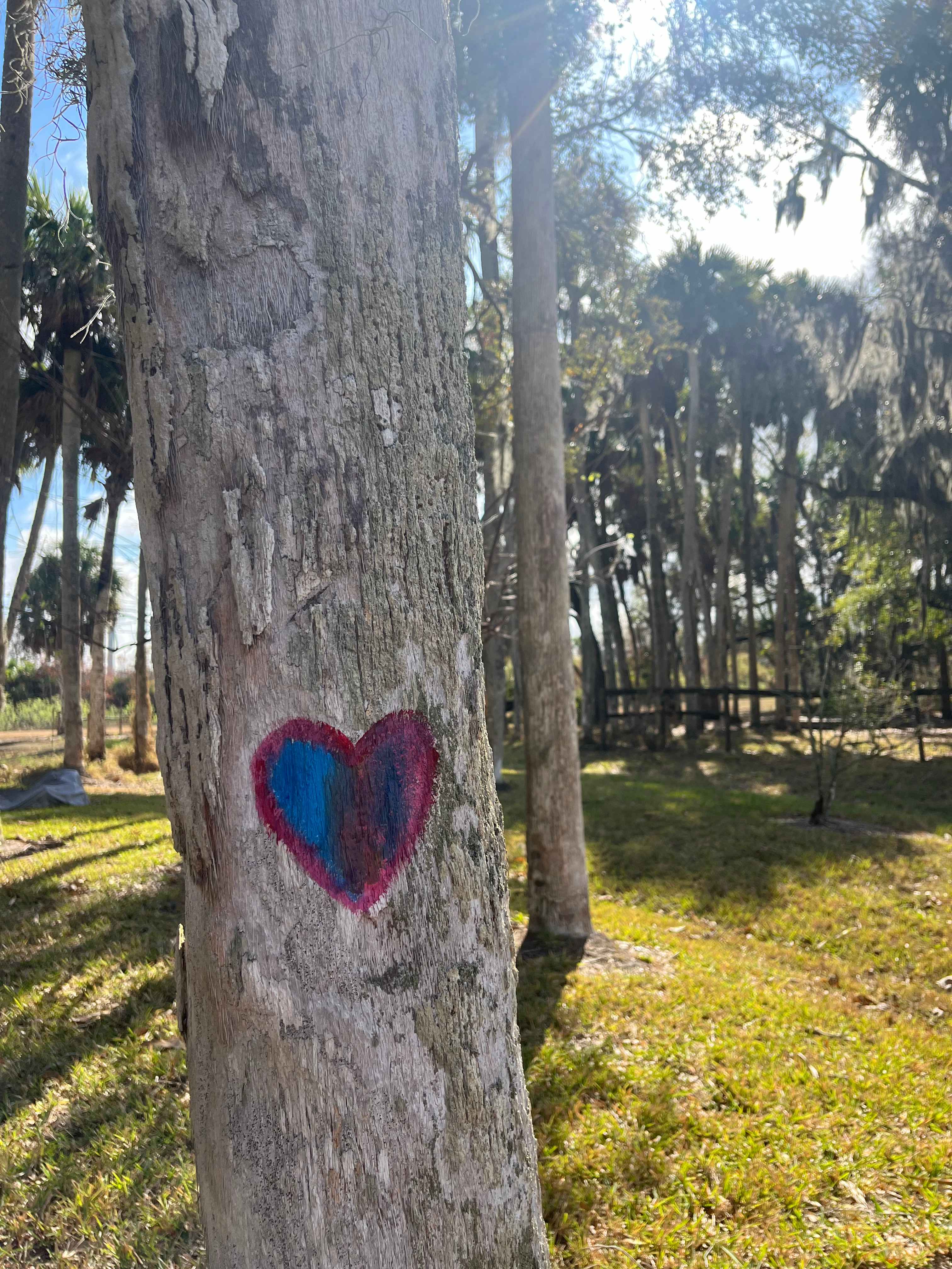 Taste of Old Florida