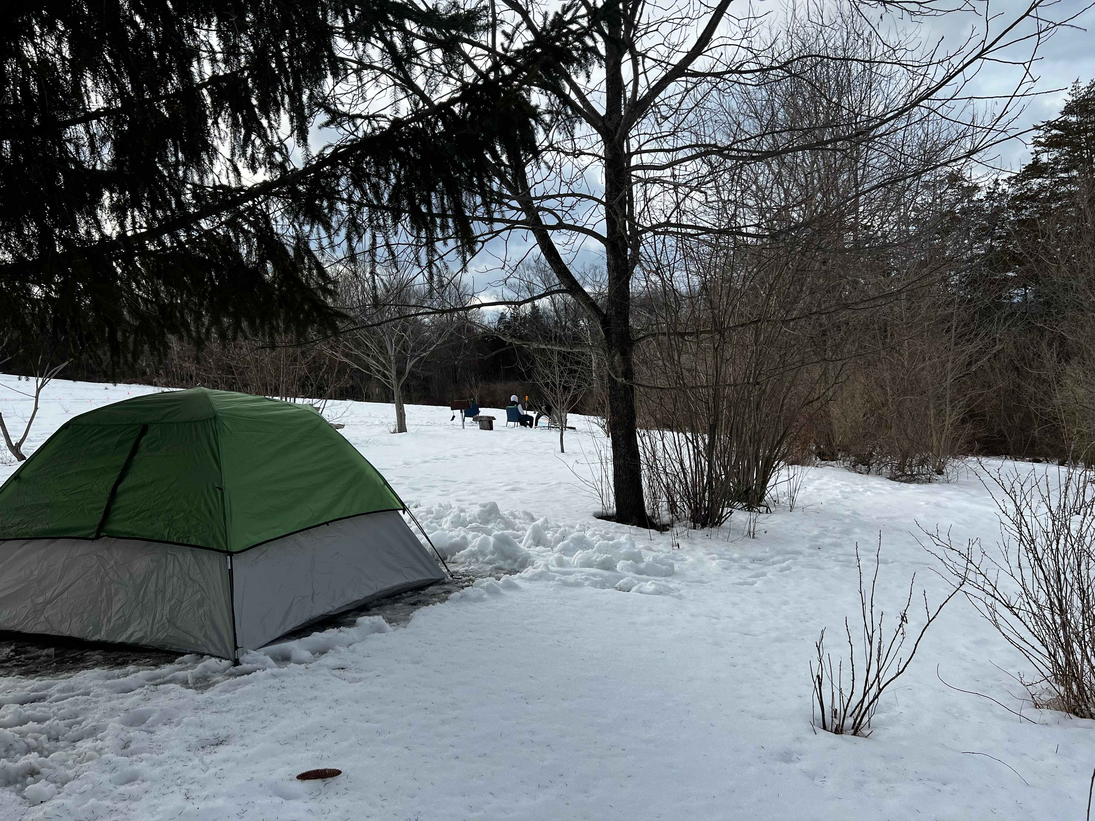 Mickelberry Forest Gardens