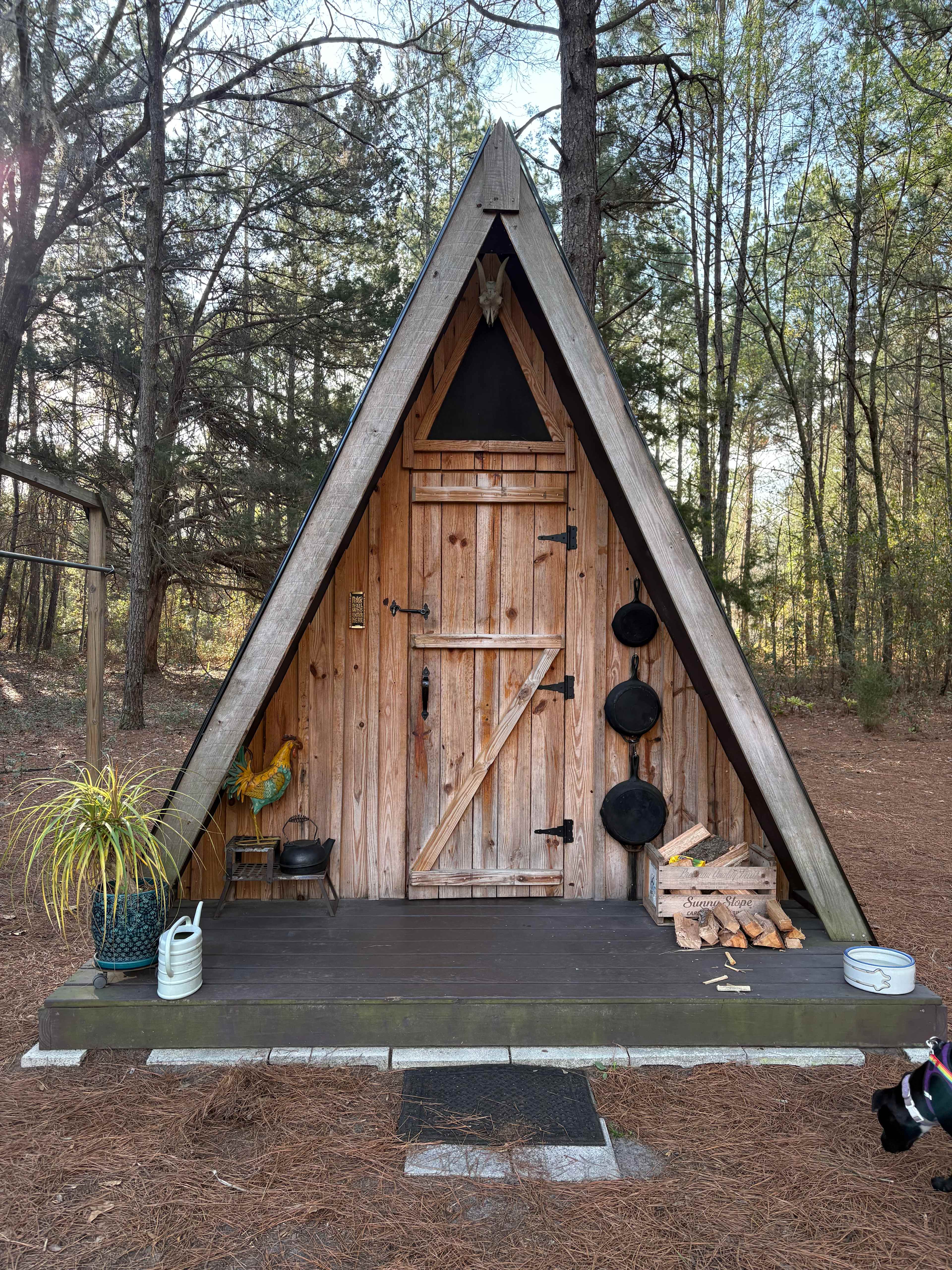 Wildflower Pond and Woodlands