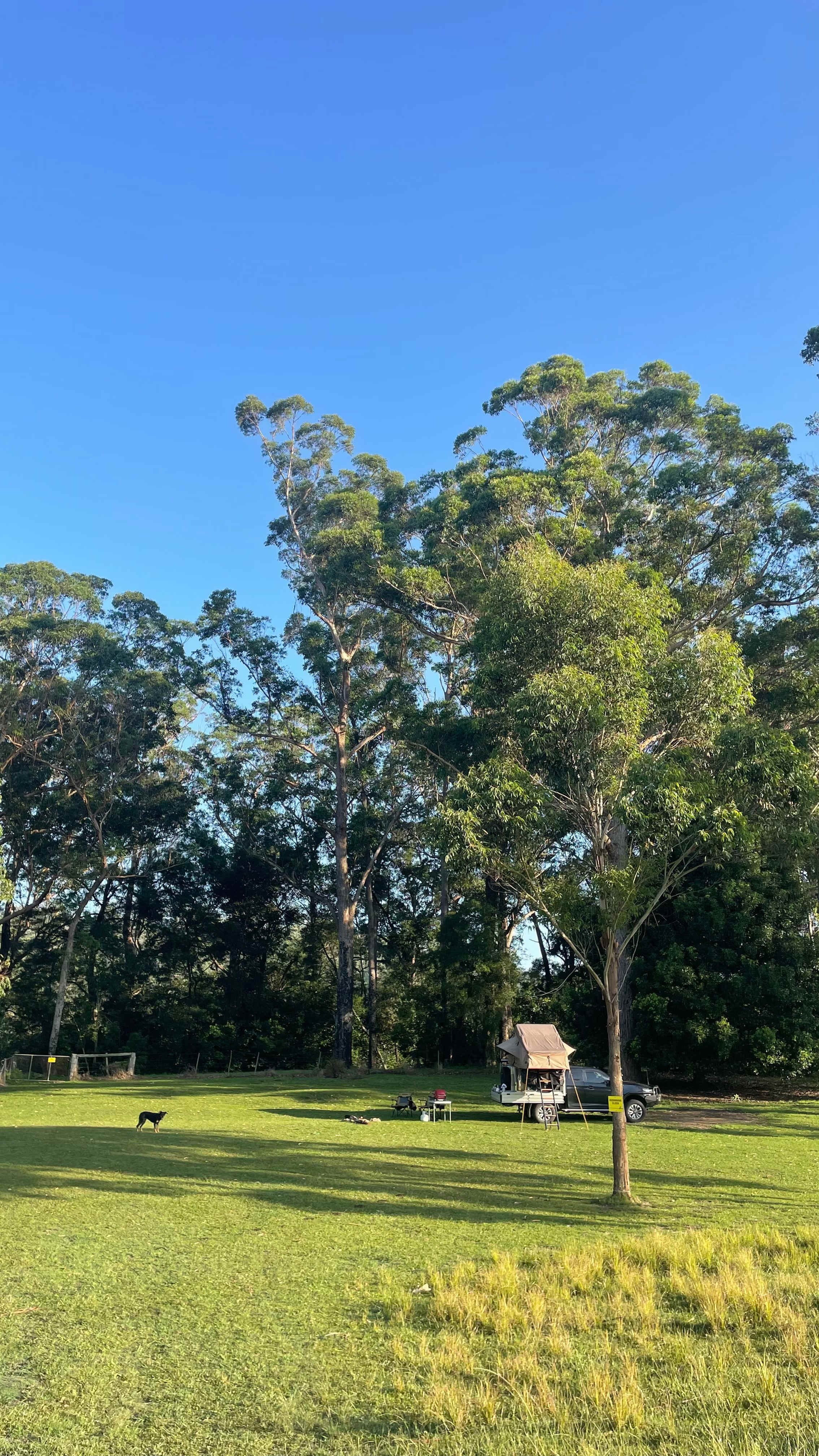 Kookaburra – Peaceful Bush Escape