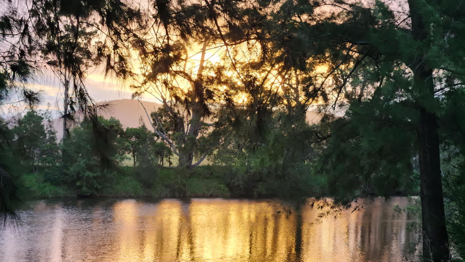 Riverview Farm, Bodalla