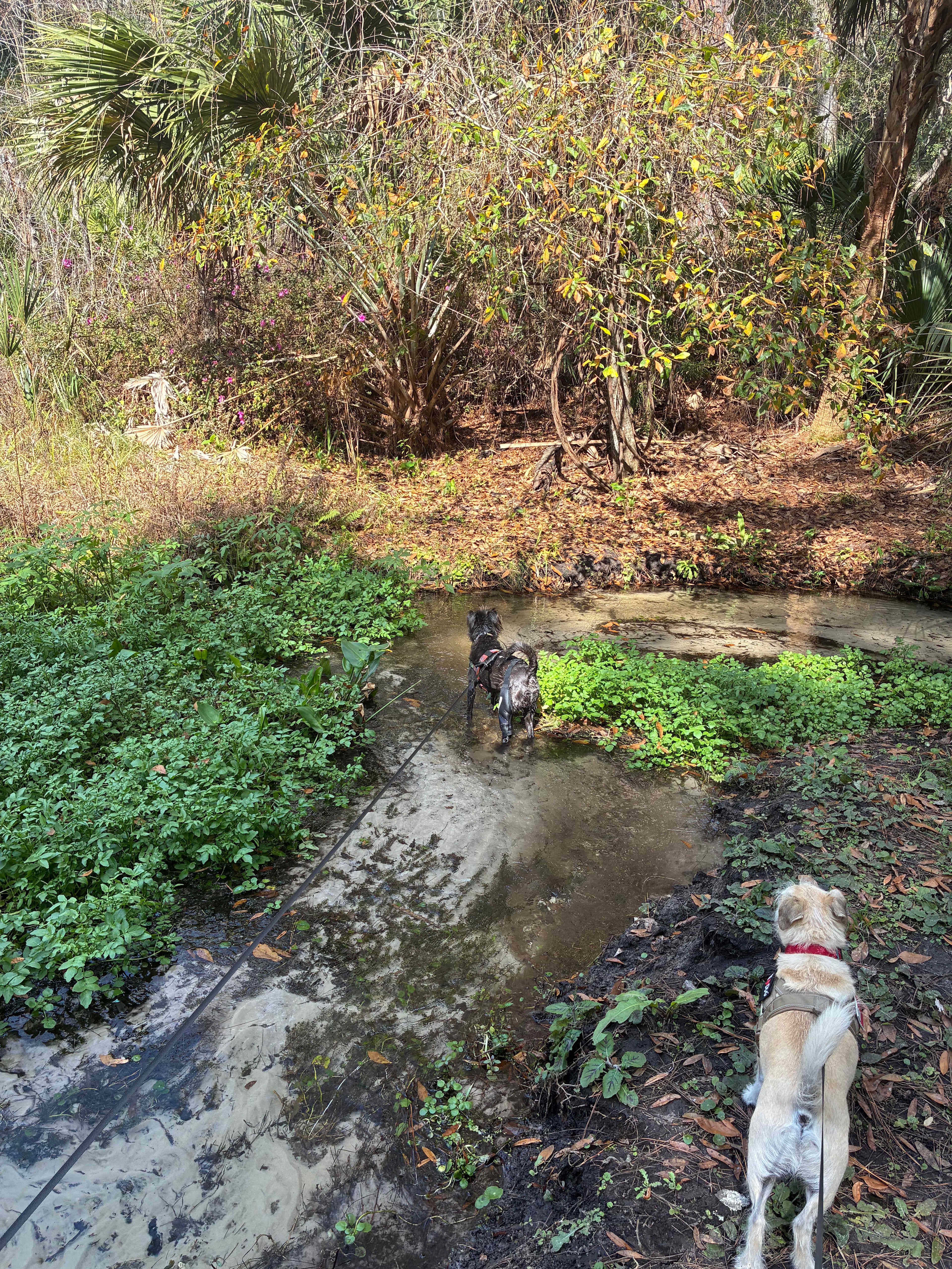 The Ravines State Park 