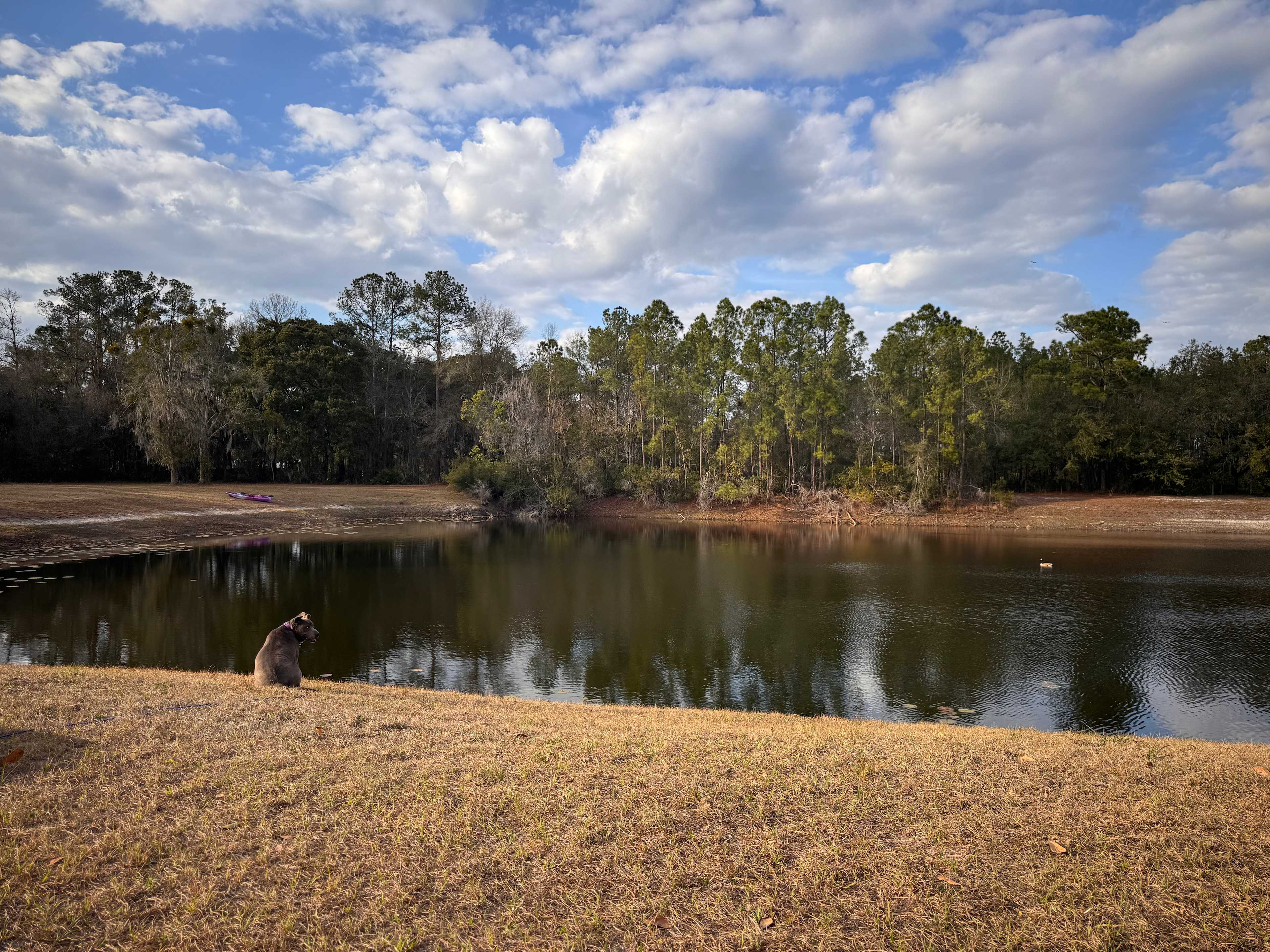 Vineyard Lake Getaway