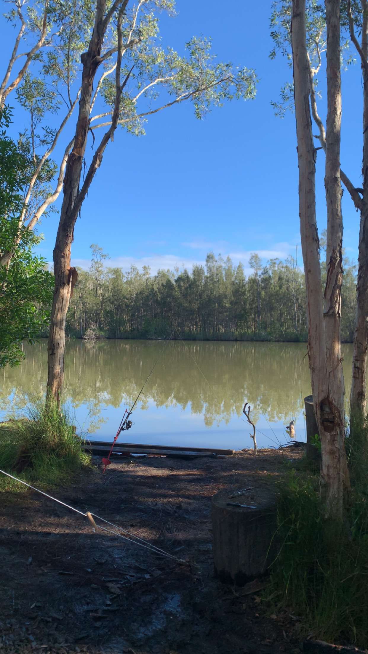 Noosa River Camping at Cooroibah