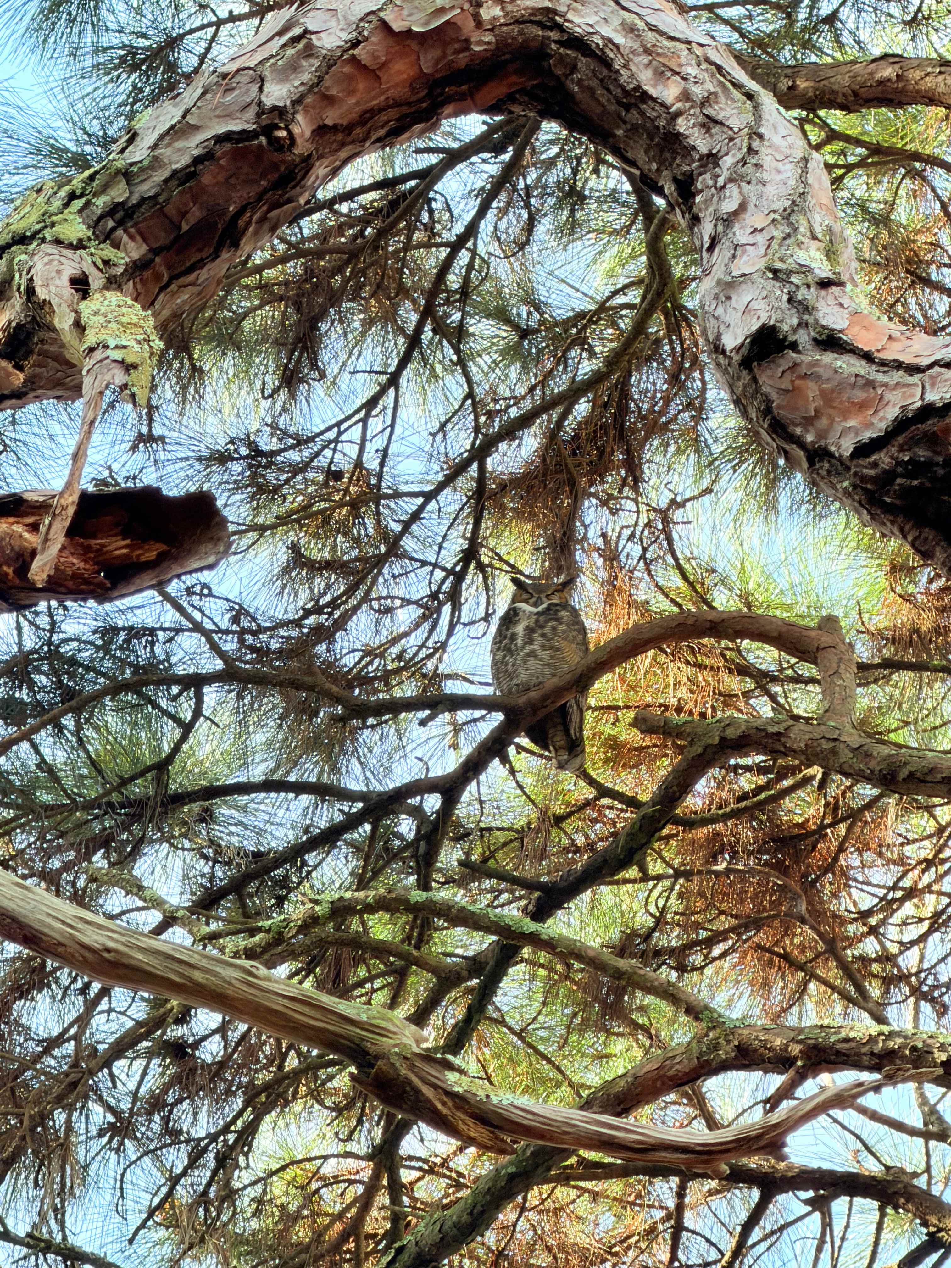 Near Downtown and the Beach!